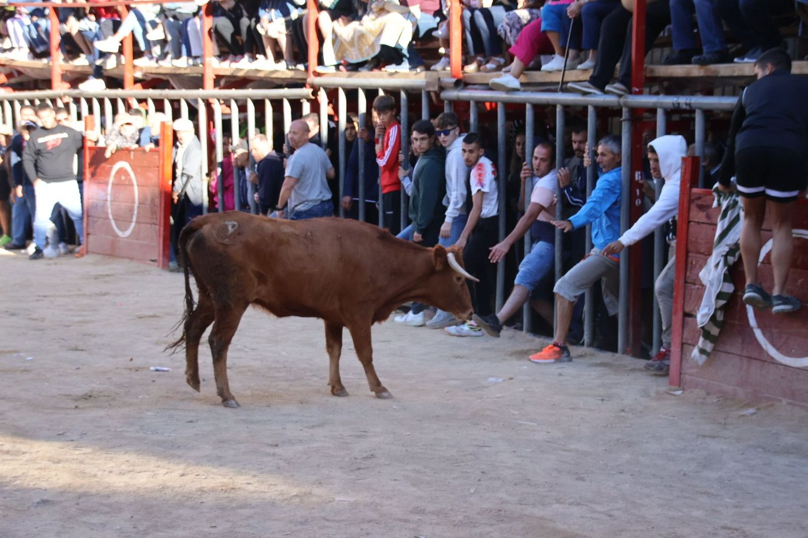Encierro en Aldeadávila