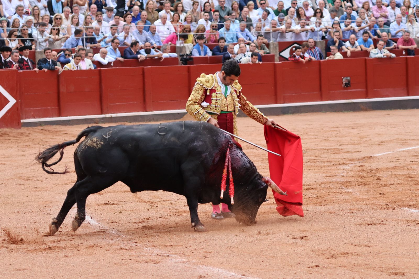 Ismael Martín, Marco Pérez y el aclamado regreso de Morante de la Puebla: su paso por La Glorieta en imágenes