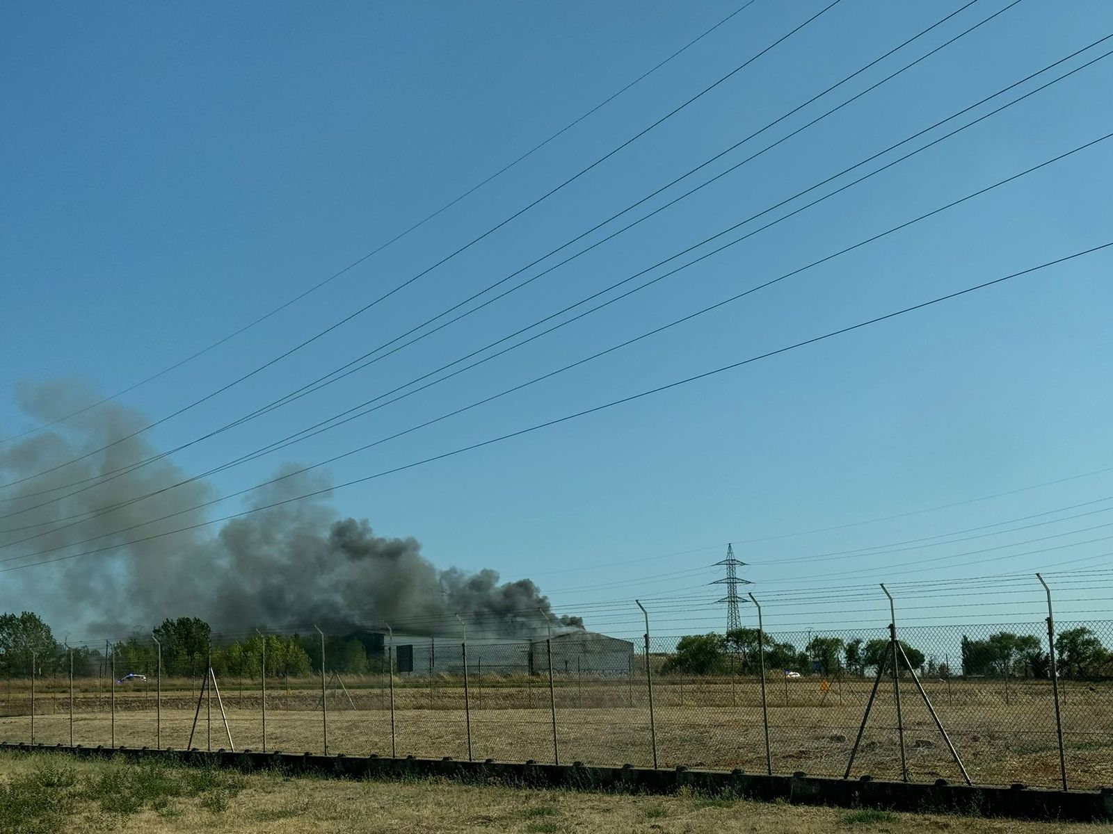 whatsapp-image-2024-08-22-at-17-44-33