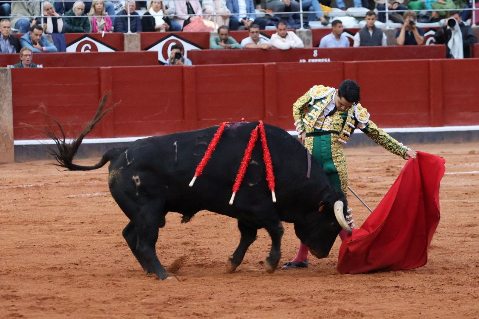 20230915192305-img-4348