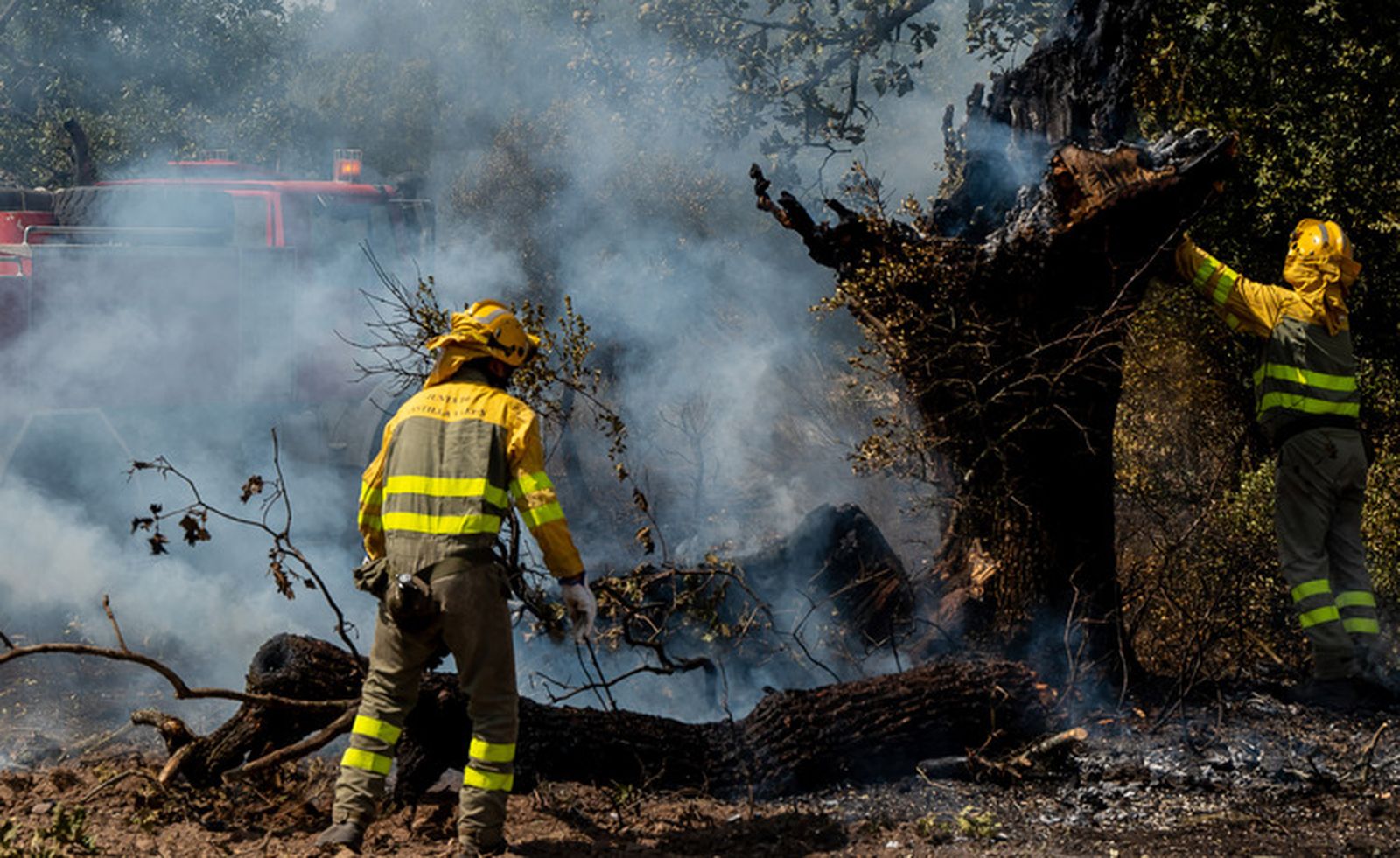 El fuego quema una zona de pasto en los entornos de la N-620 y la A-62 en Valdecarpinteros