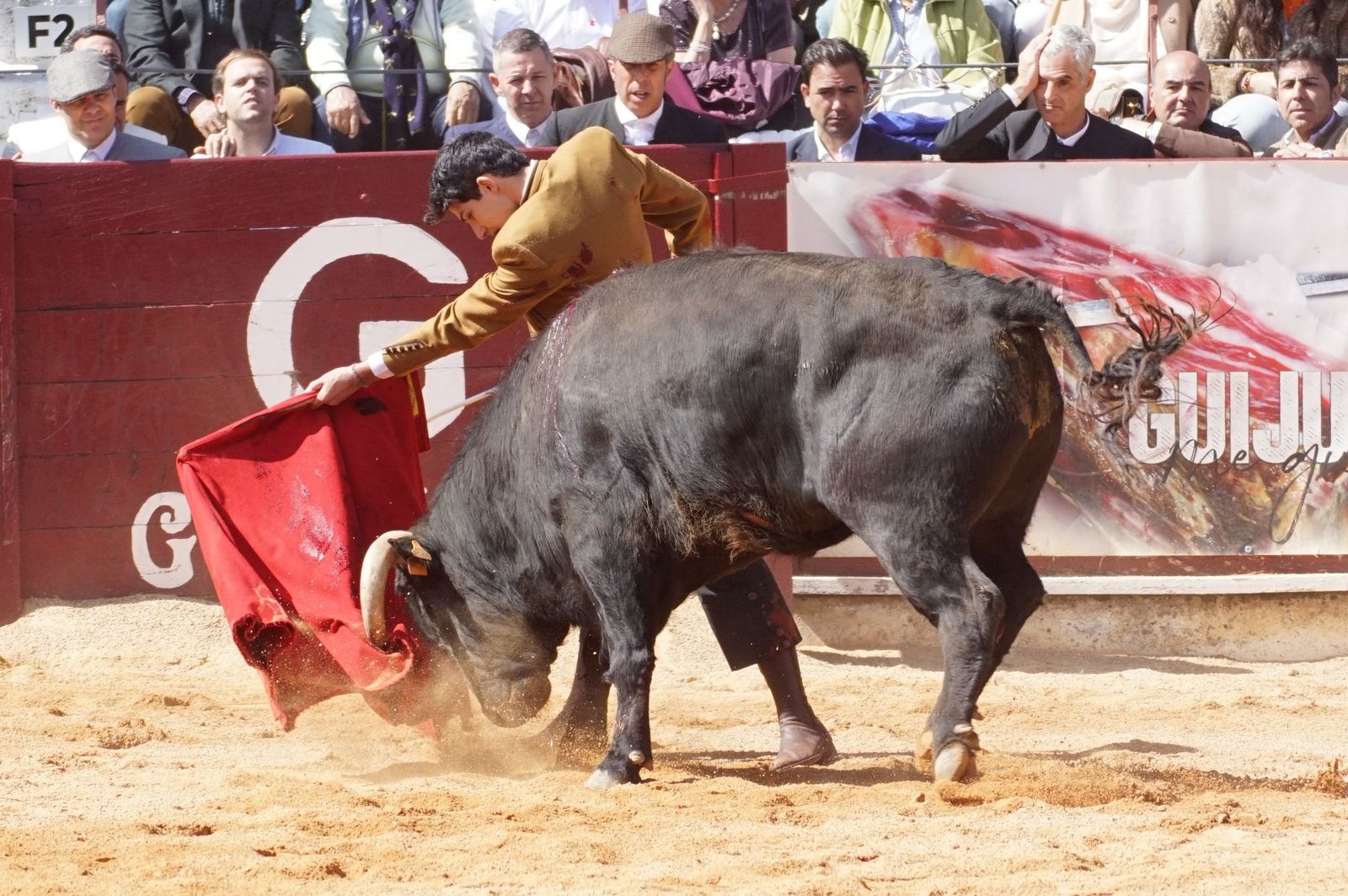 Festival taurino solidario por la esclerosis múltiple en Guijuelo