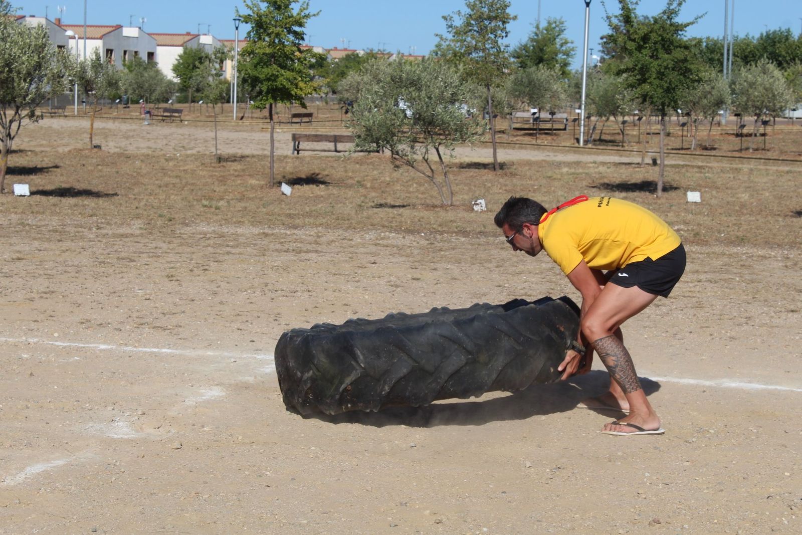 20230806192324-img-4591