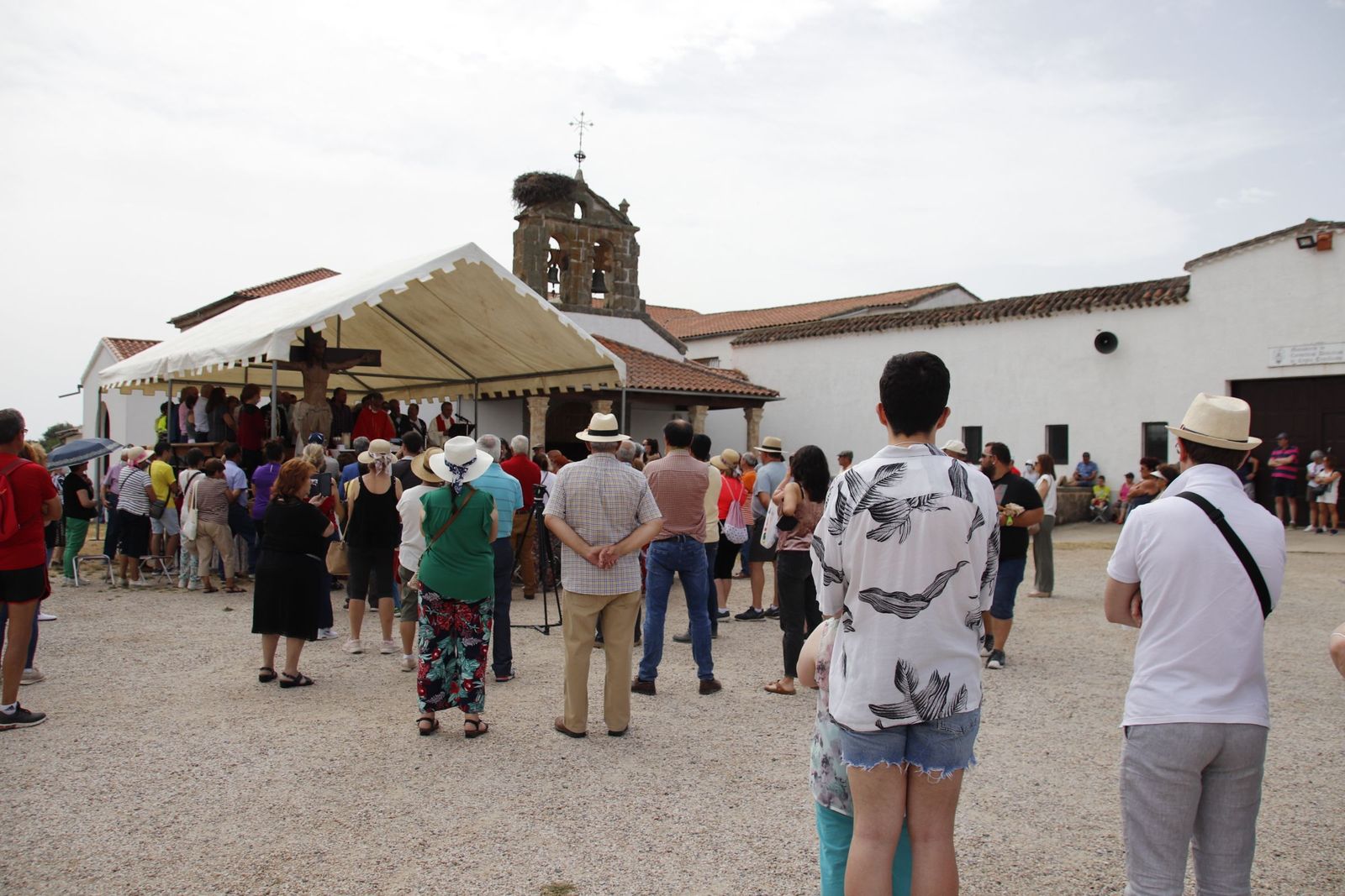 20220618110848-mg-4810