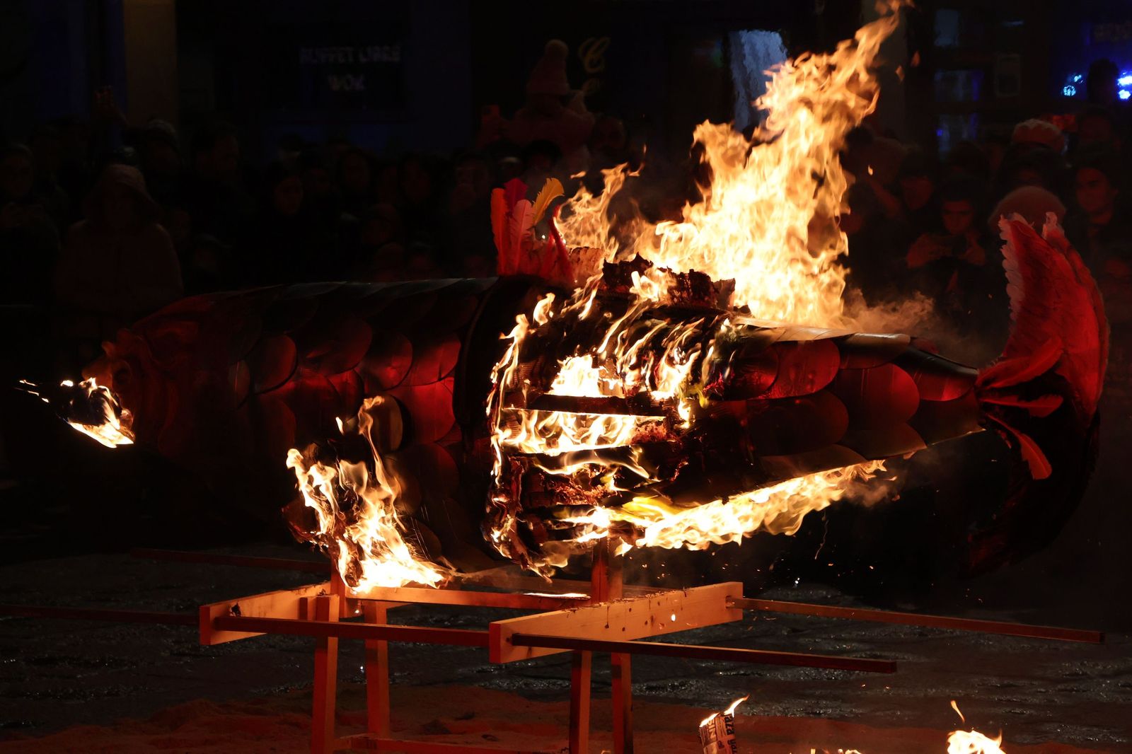 GALERÍA | Entierro de la sardina Zamora 2026