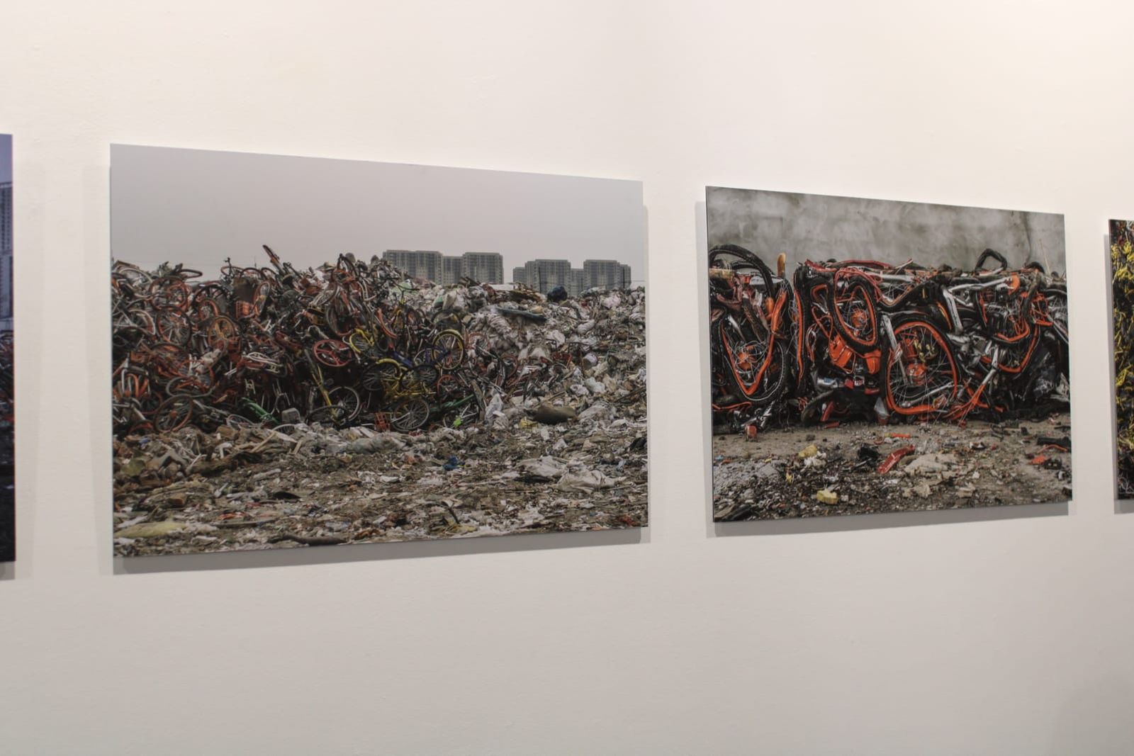 exposicion-transversalidades-fotografia-sin-fronteras-12