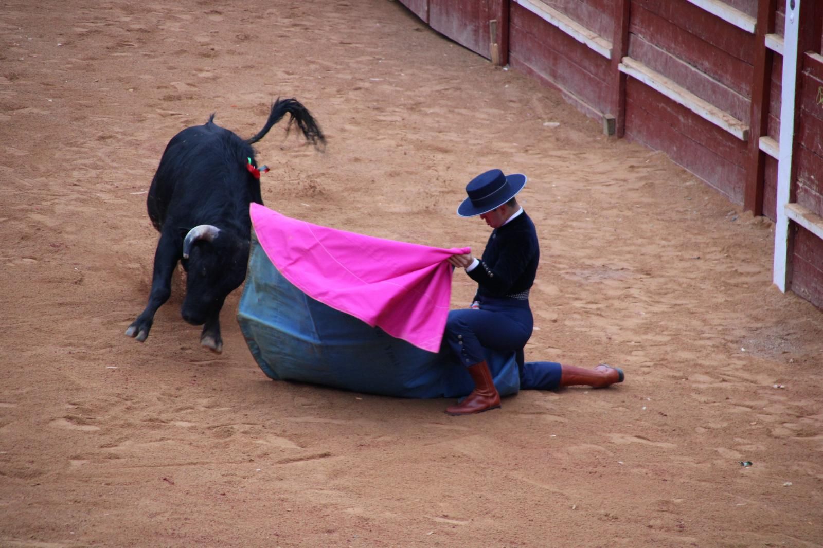 whatsapp-image-2025-03-02-at-18-55-12