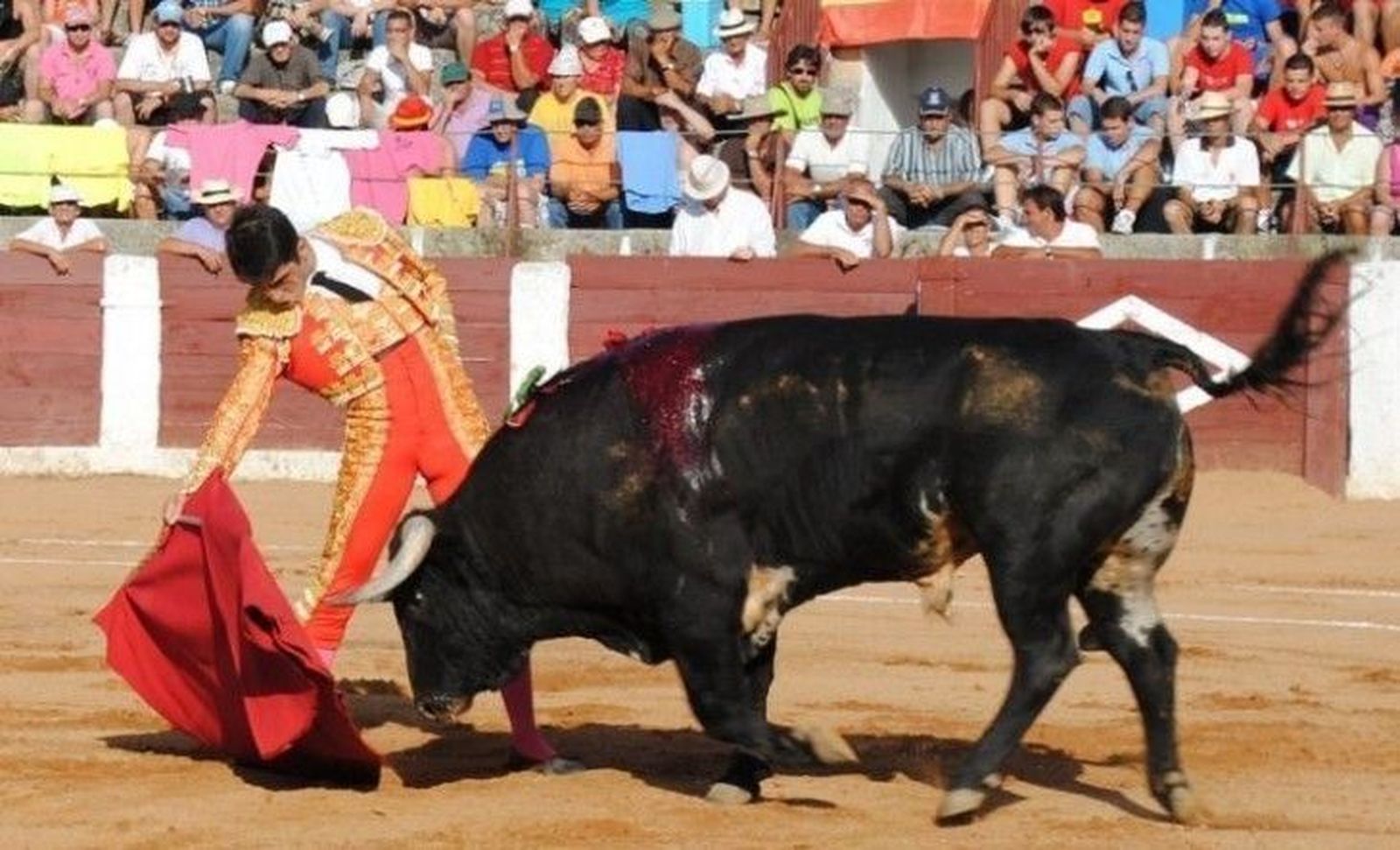 Importante Feria Taurina con cinco festejos de los que tres son corridas y un rejoneo