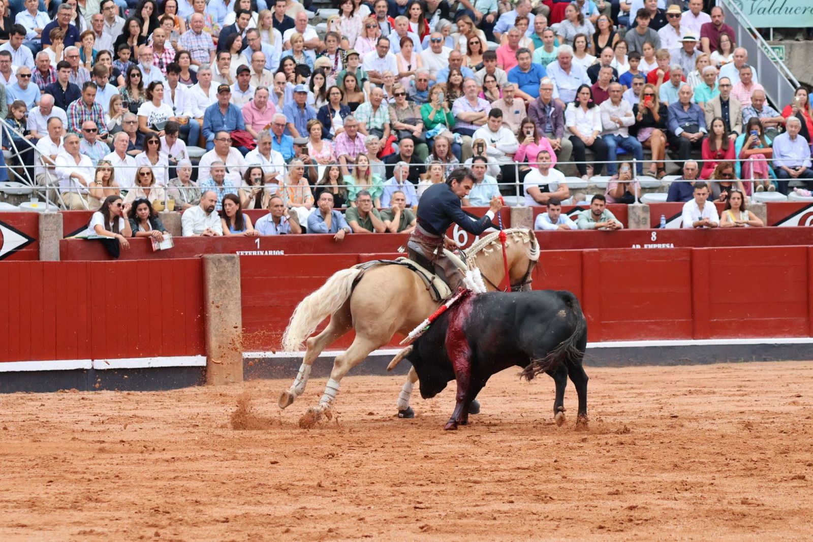 20230909174821-img-0562