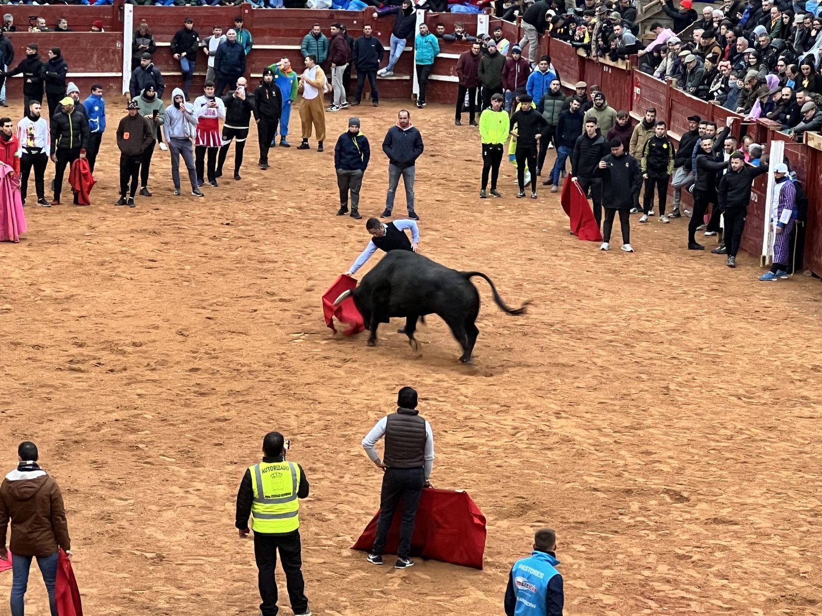 Ambiente y capea vespertina Sábado de Carnaval en Ciudad Rodrigo 2025