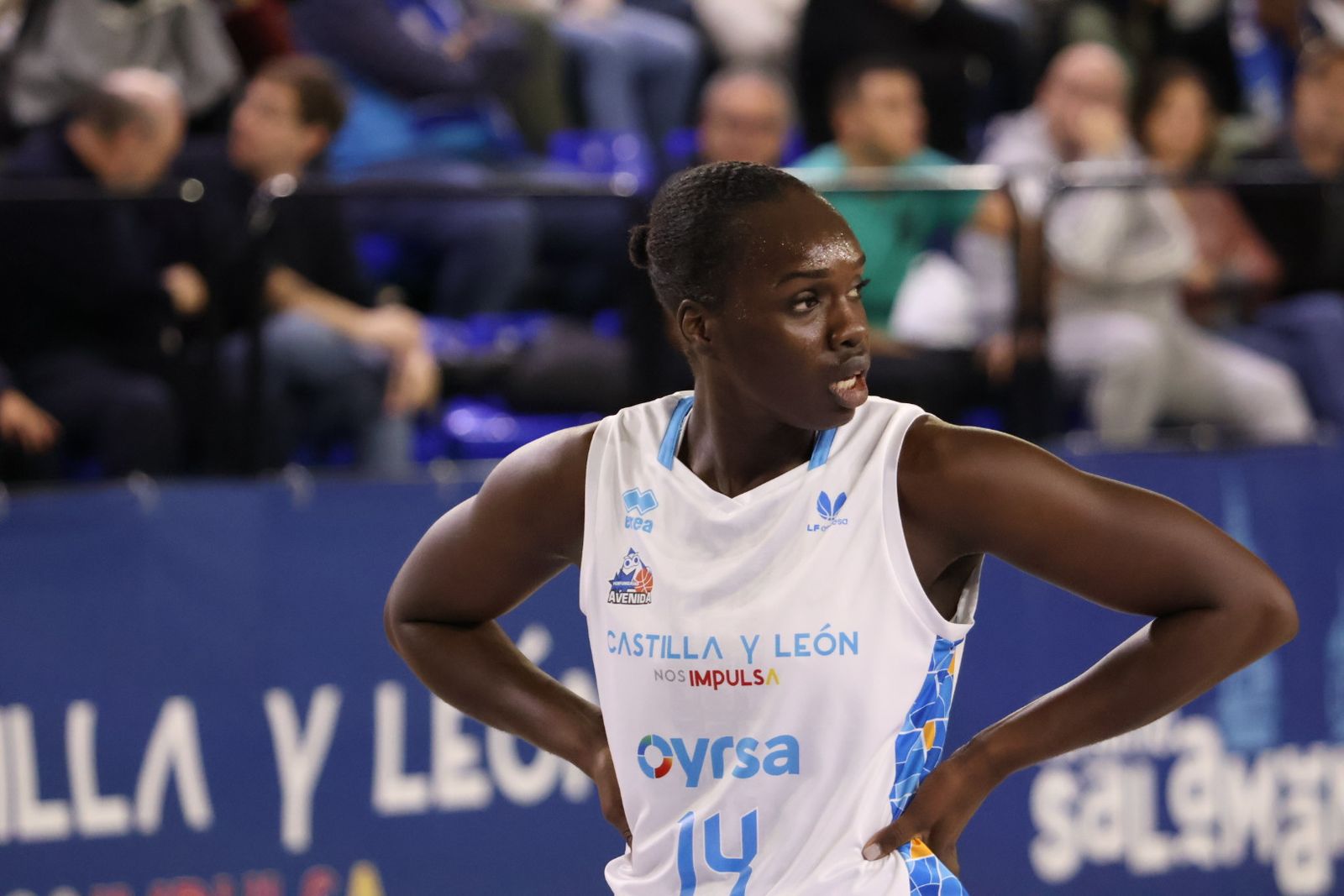 Perfumerías Avenida – CAB Estepona