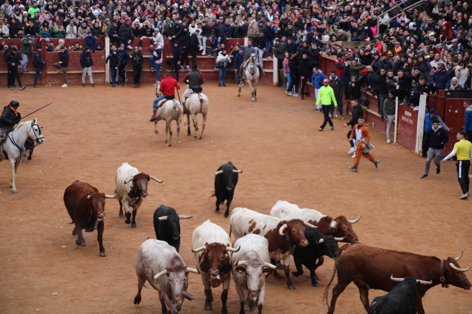 Encierro a Caballo en el Carnaval del Toro 2026 de Ciudad Rodrigo