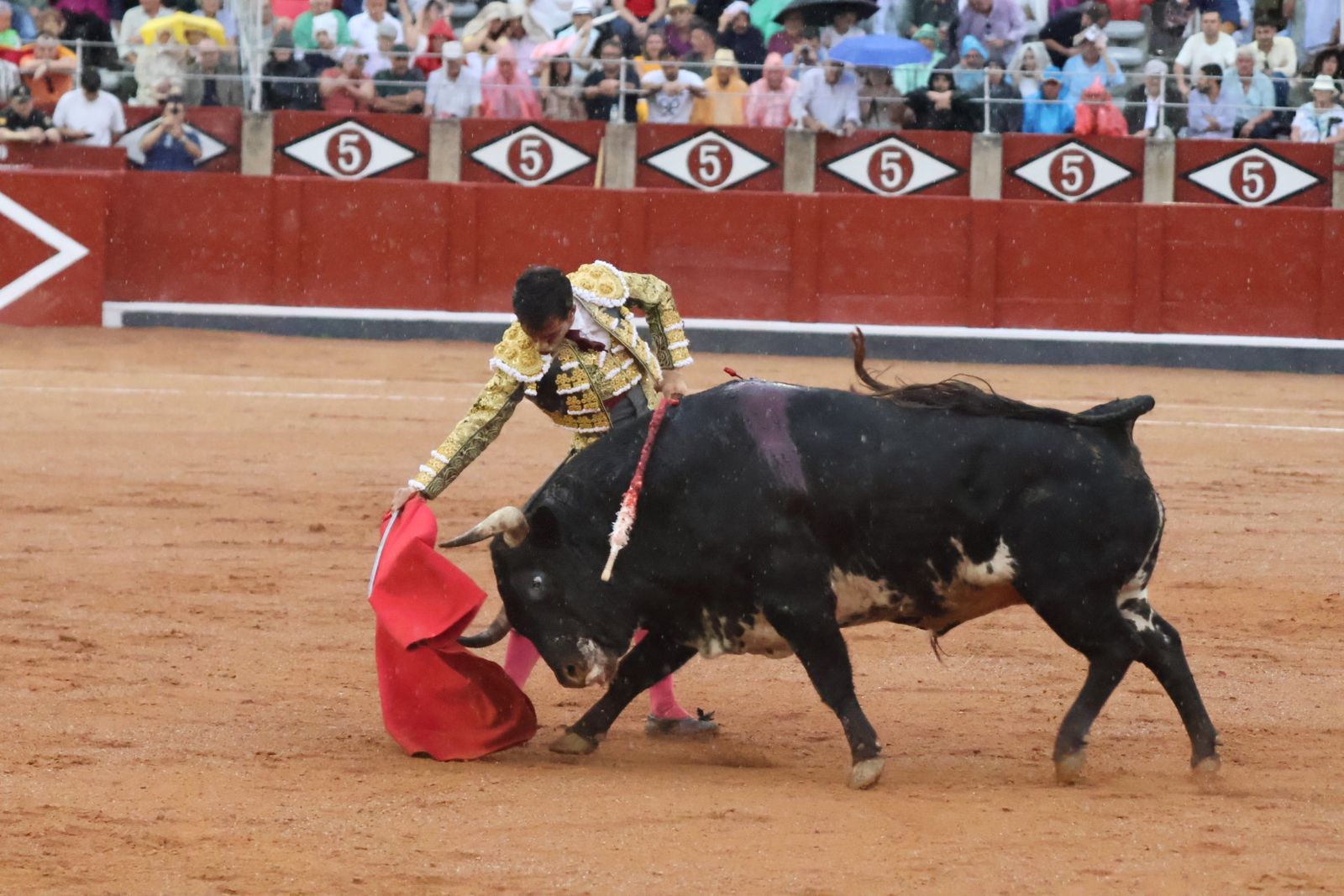 Ismael Martín, Marco Pérez y el aclamado regreso de Morante de la Puebla: su paso por La Glorieta en imágenes