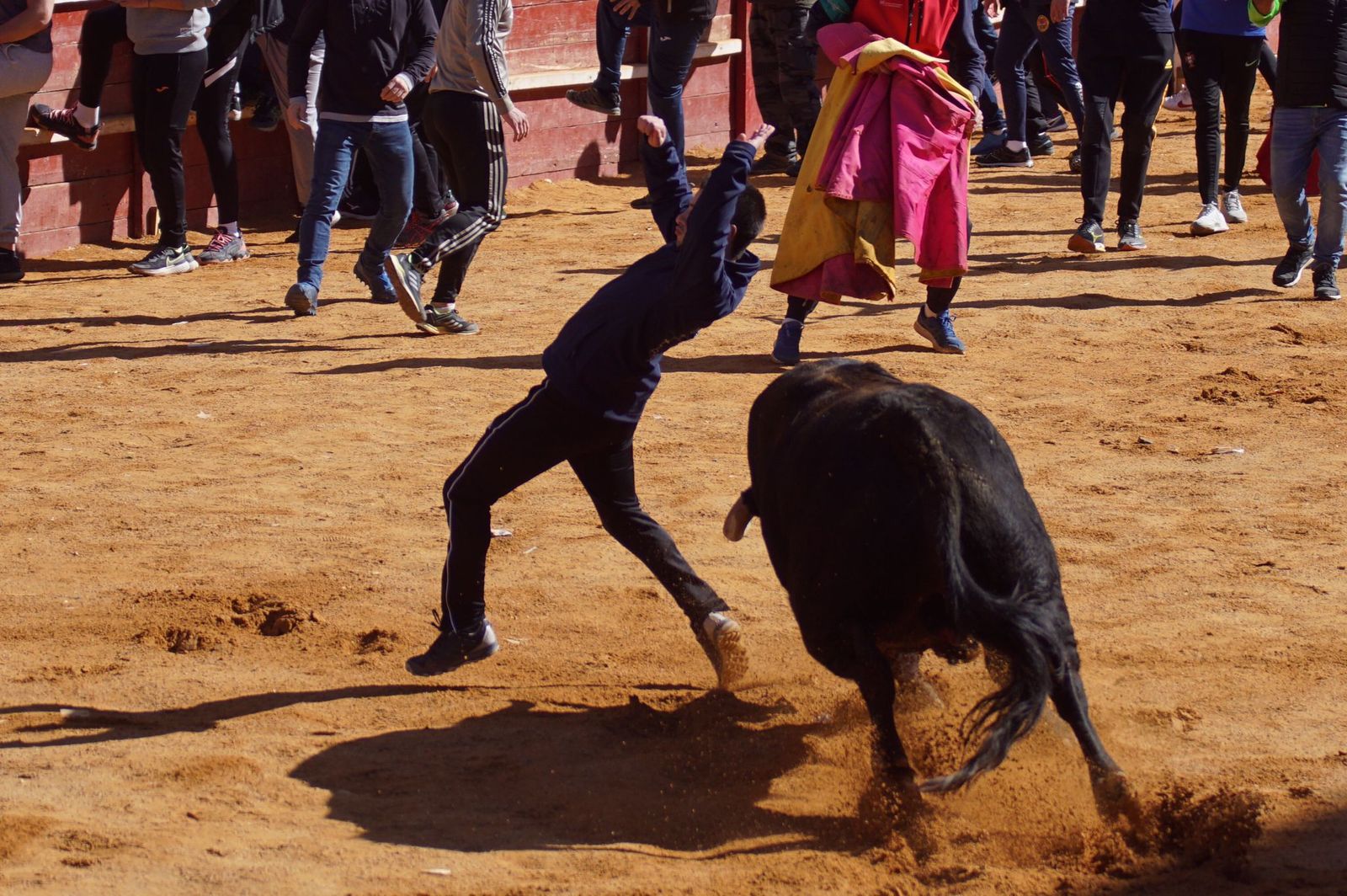 encierro-capea-y-ambiente-en-ciudad-rodrigo-en-este-lunes-de-carnaval-2