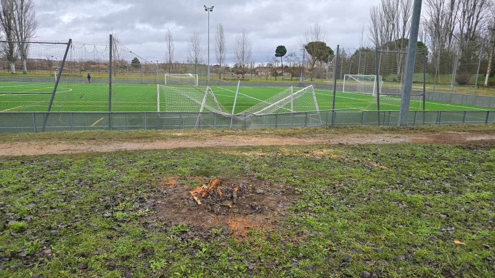 Un árbol de grandes dimensiones cae sobre una de las porterías de La Aldehuela