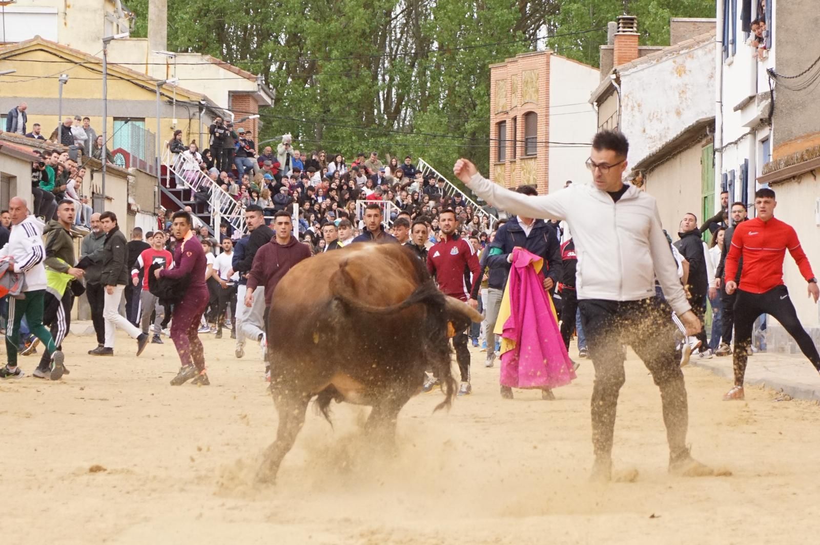 Villoria, toro del Voto