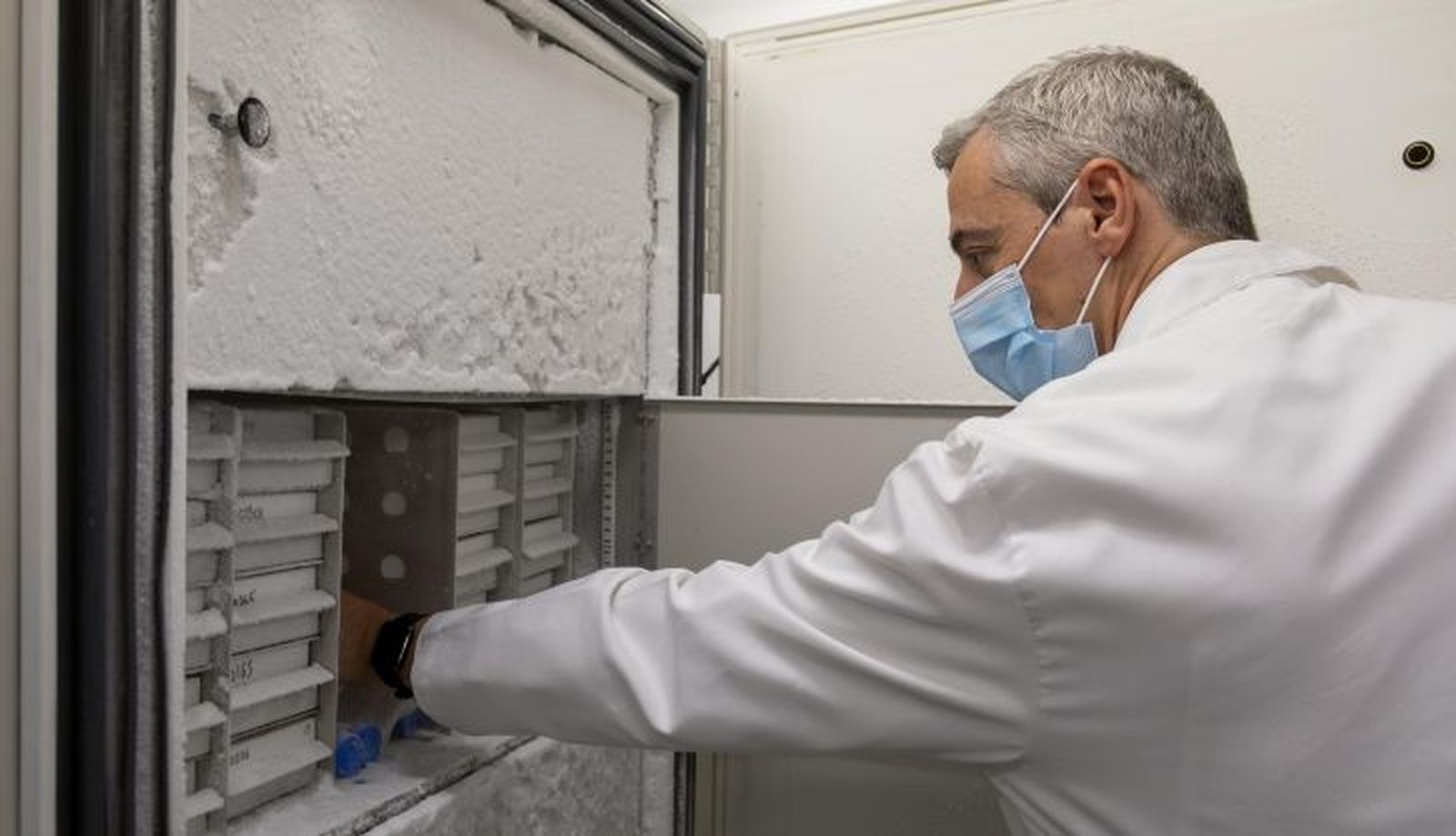 El banco de cerebros de Castilla y León está ubicado en el Incyl, en la universidad de Salamanca. Javier Herrero es el científico que lo dirige y se ocupa de su gestión. Foto ICAL (11)
