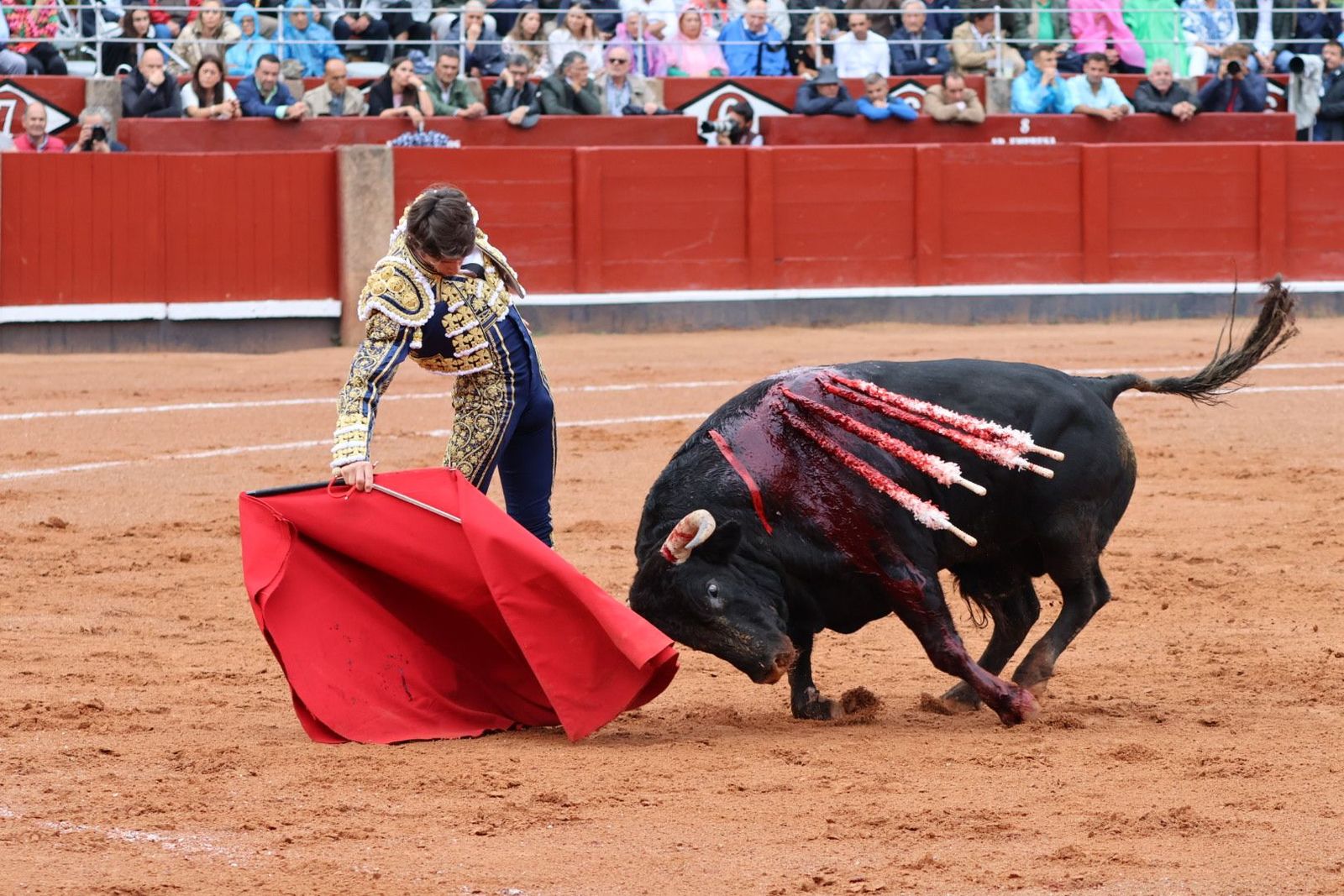 20230916172127-img-5248