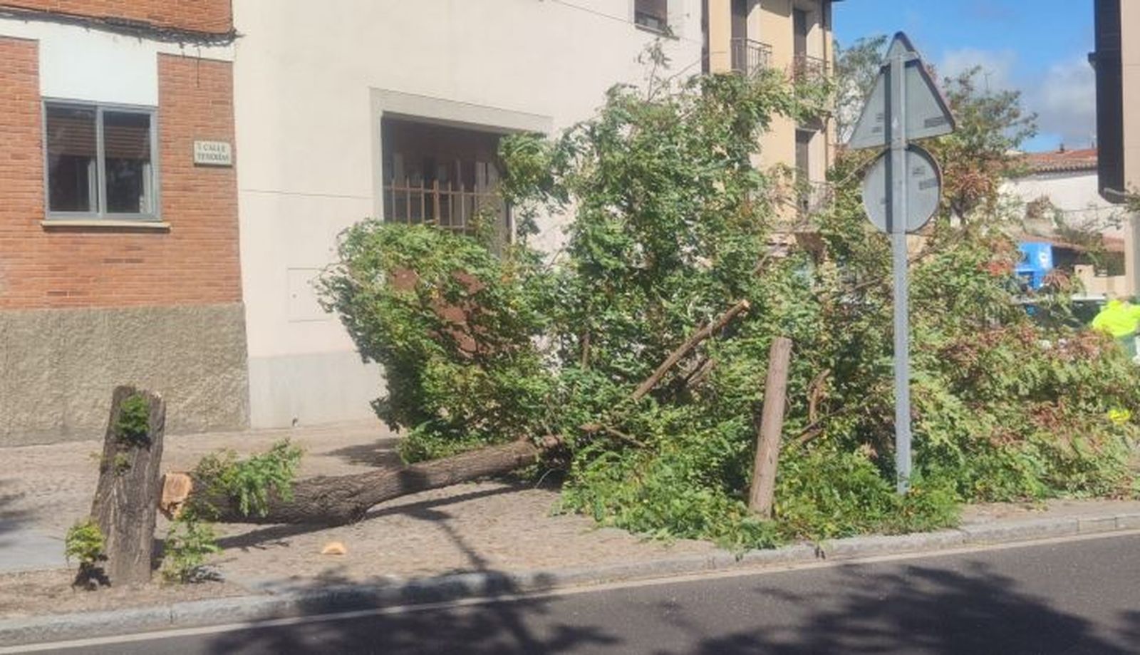 WhatsApp Image 2024 10 09 at 15.04.58