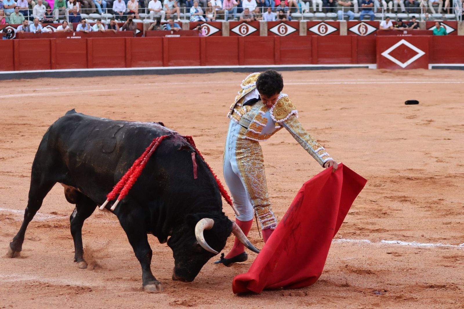 20230910190137-img-2225