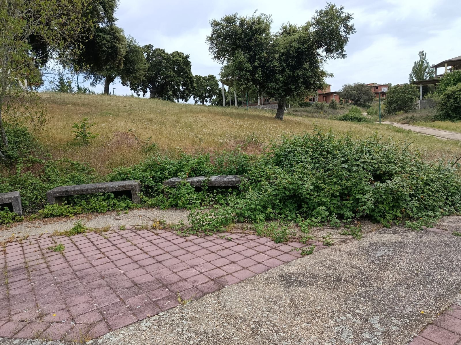 Urbanización Oasis Golf en Carrascal de Barregas  (11).jpeg