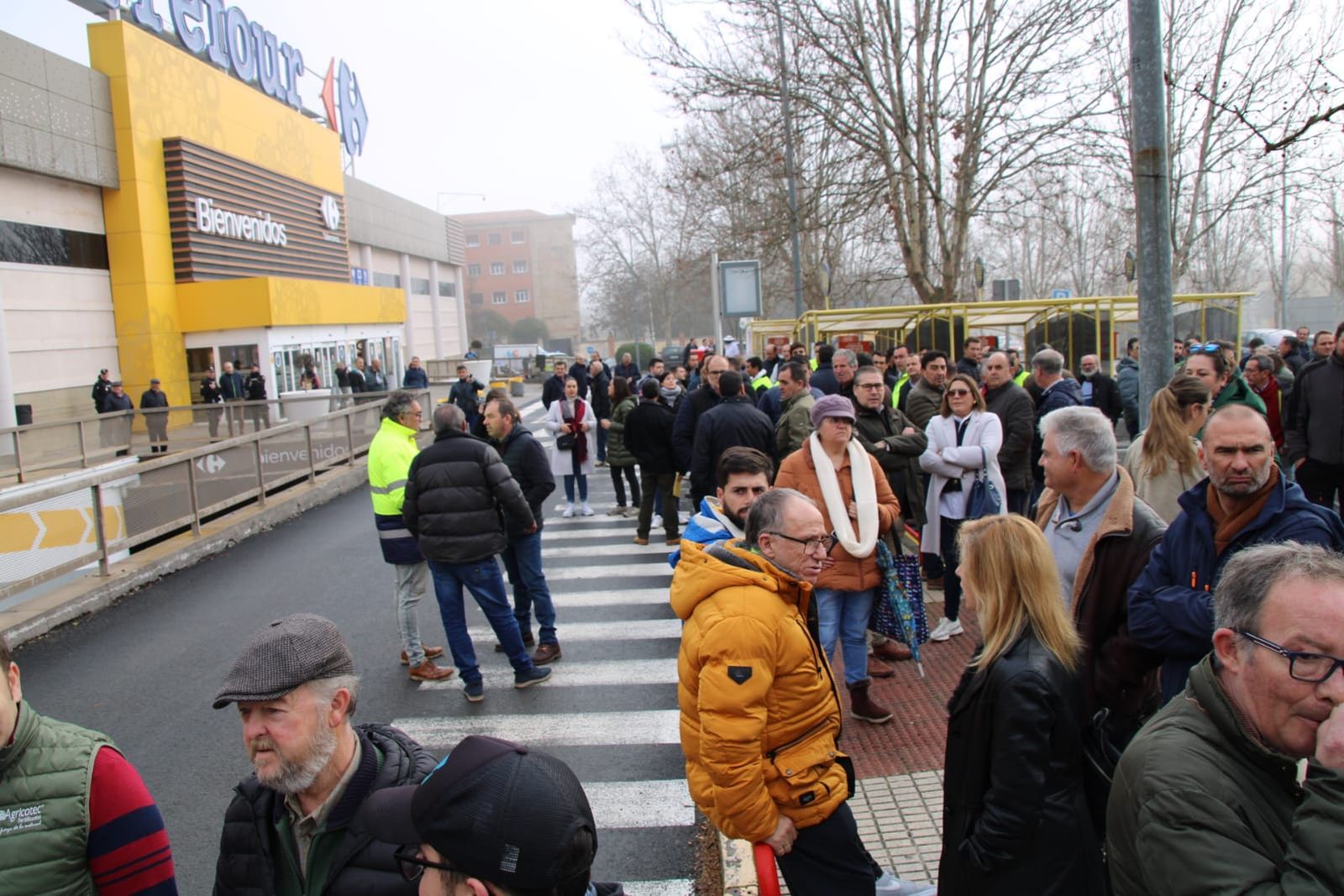 whatsapp-image-2024-02-14-at-10-32-23-3