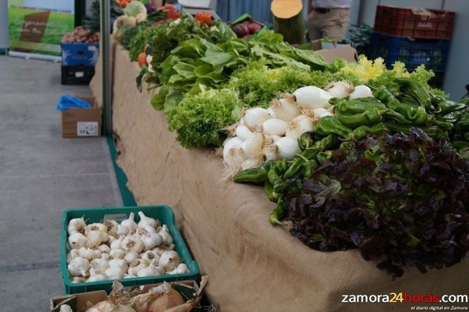 Benavente reunirá este martes a agricultores expertos para analizar el cultivo ecológico