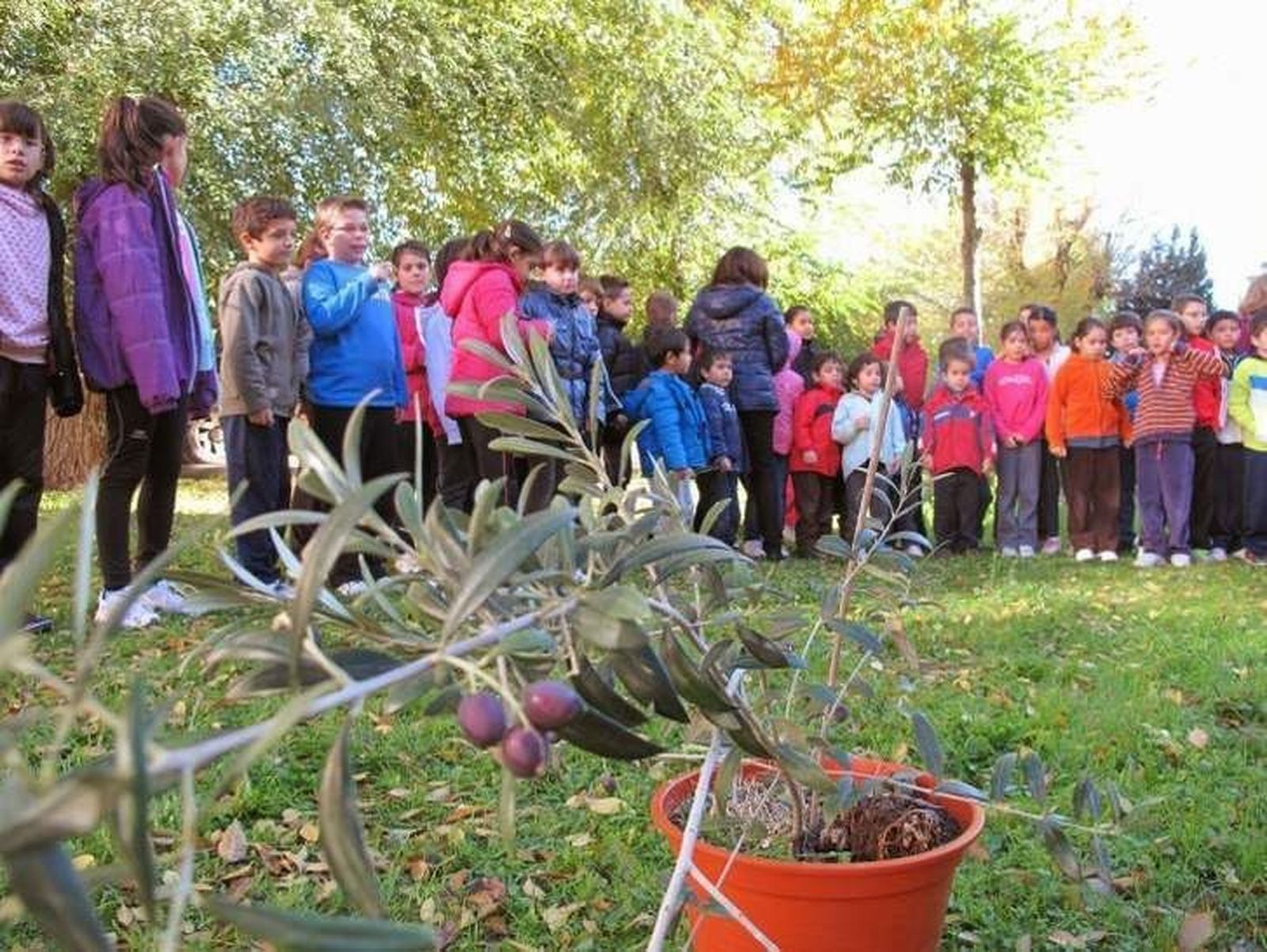 La Red de Huertos Escolares, apoyada por la USAL, continúa su actividad con éxito