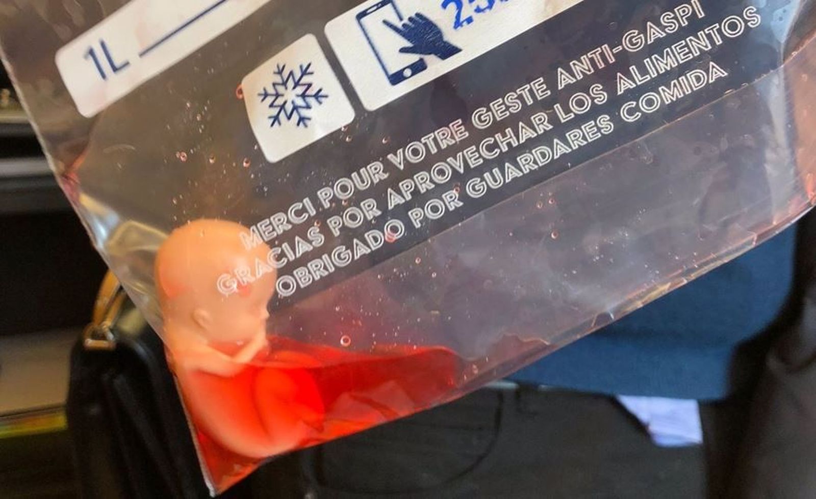 Réplica de un feto de doce semana enviado a un diputado