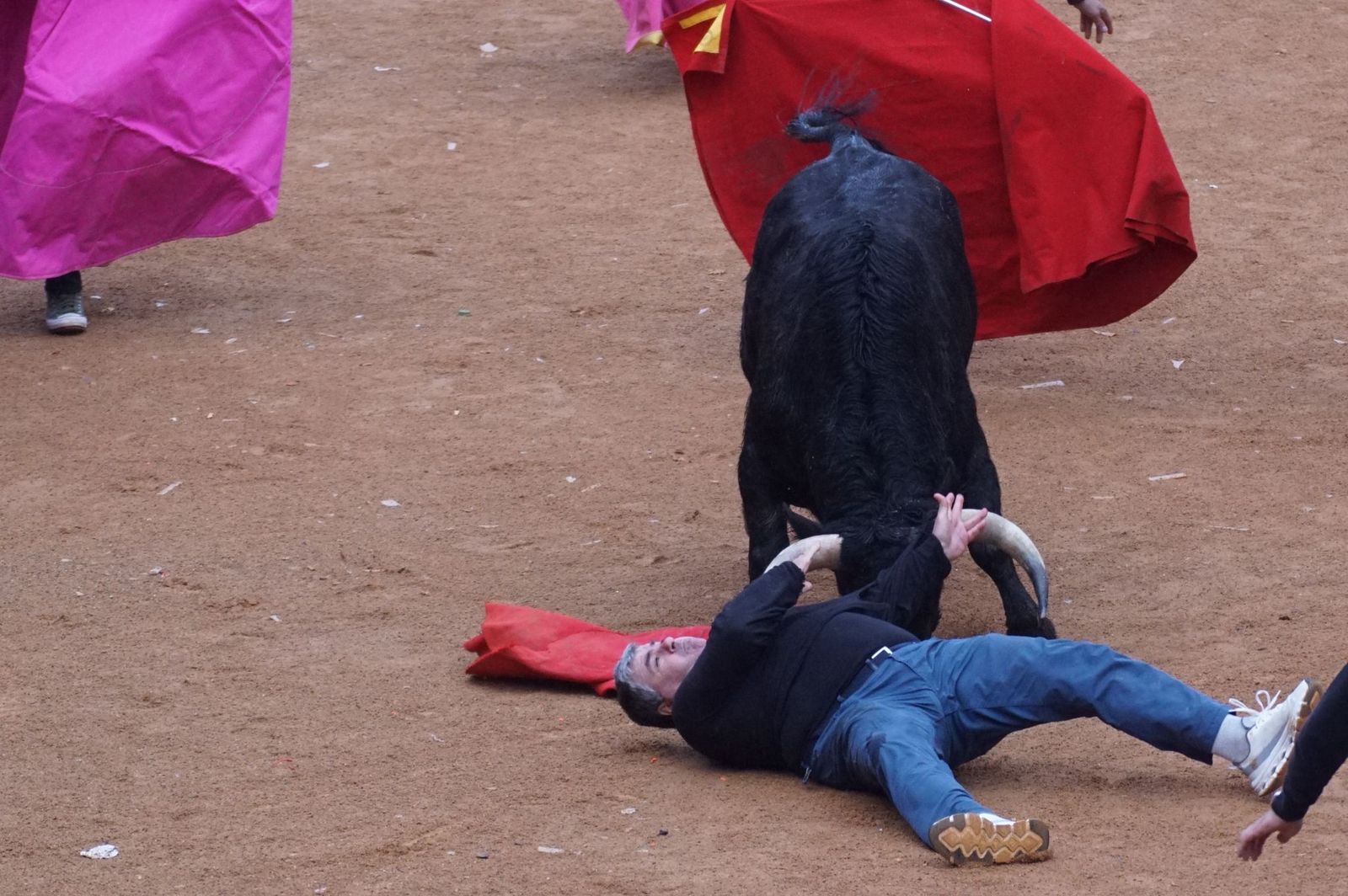 Capea matinal de domingo de carnaval en Ciudad Rodrigo (47).jpeg
