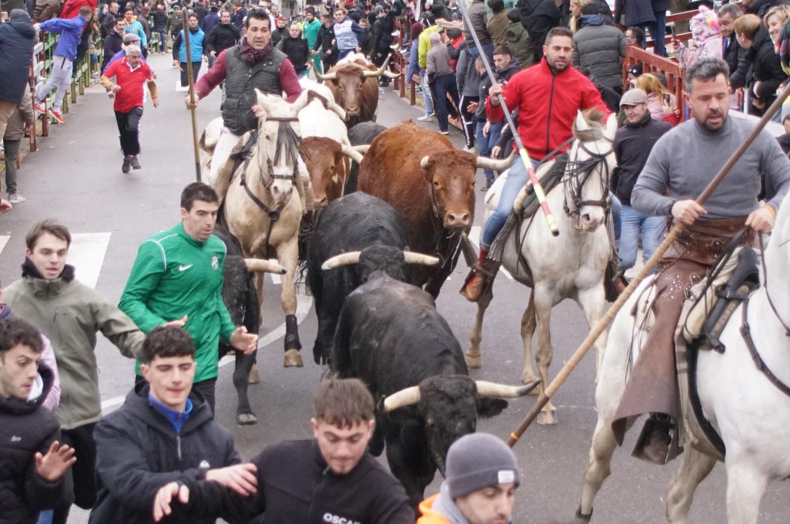 Encierro a Caballo en el Carnaval del Toro 2026 de Ciudad Rodrigo