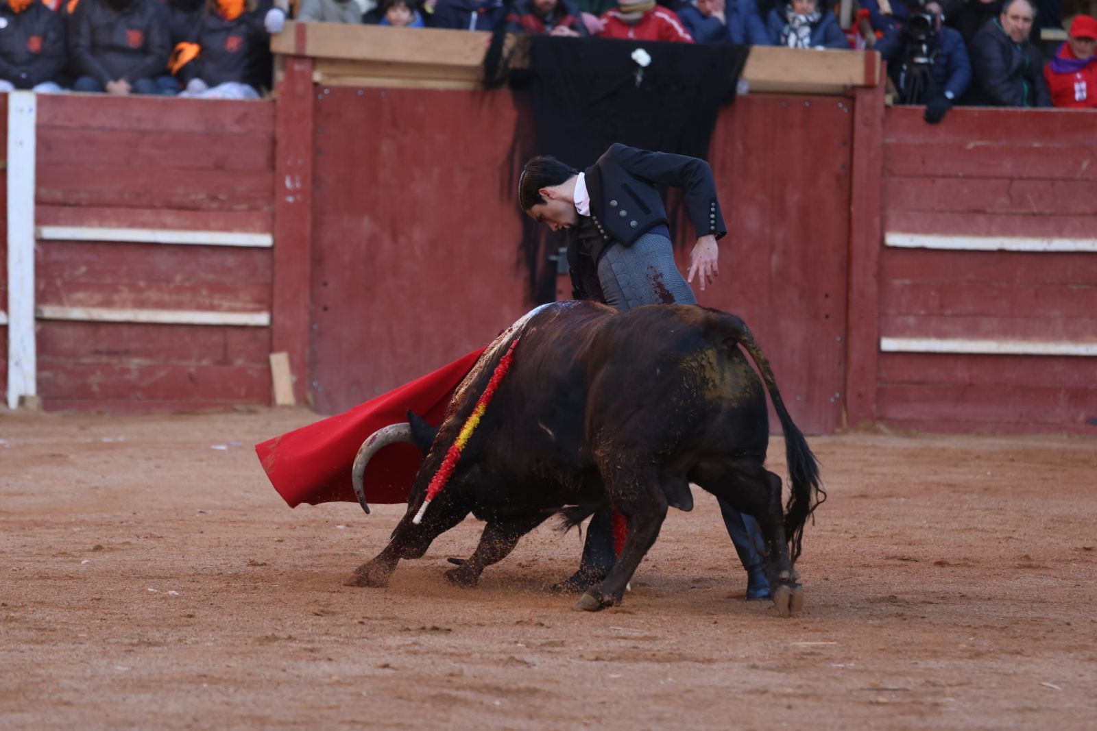 Festival taurino del Sábado en el Carnaval del Toro 2026 de Ciudad Rodrigo