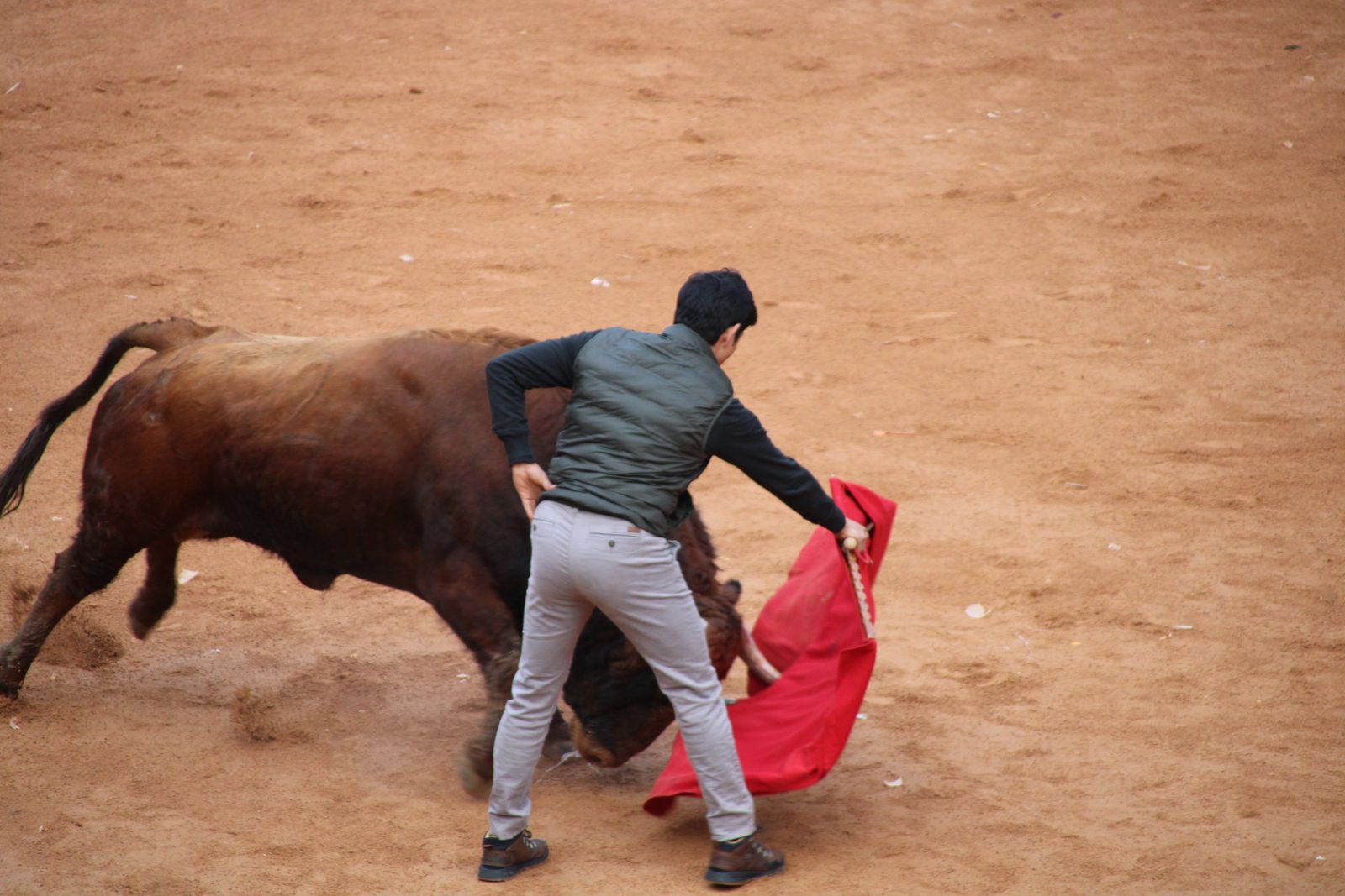 Toro del aguardiente en la mañana de martes del Carnaval del Toro 2026