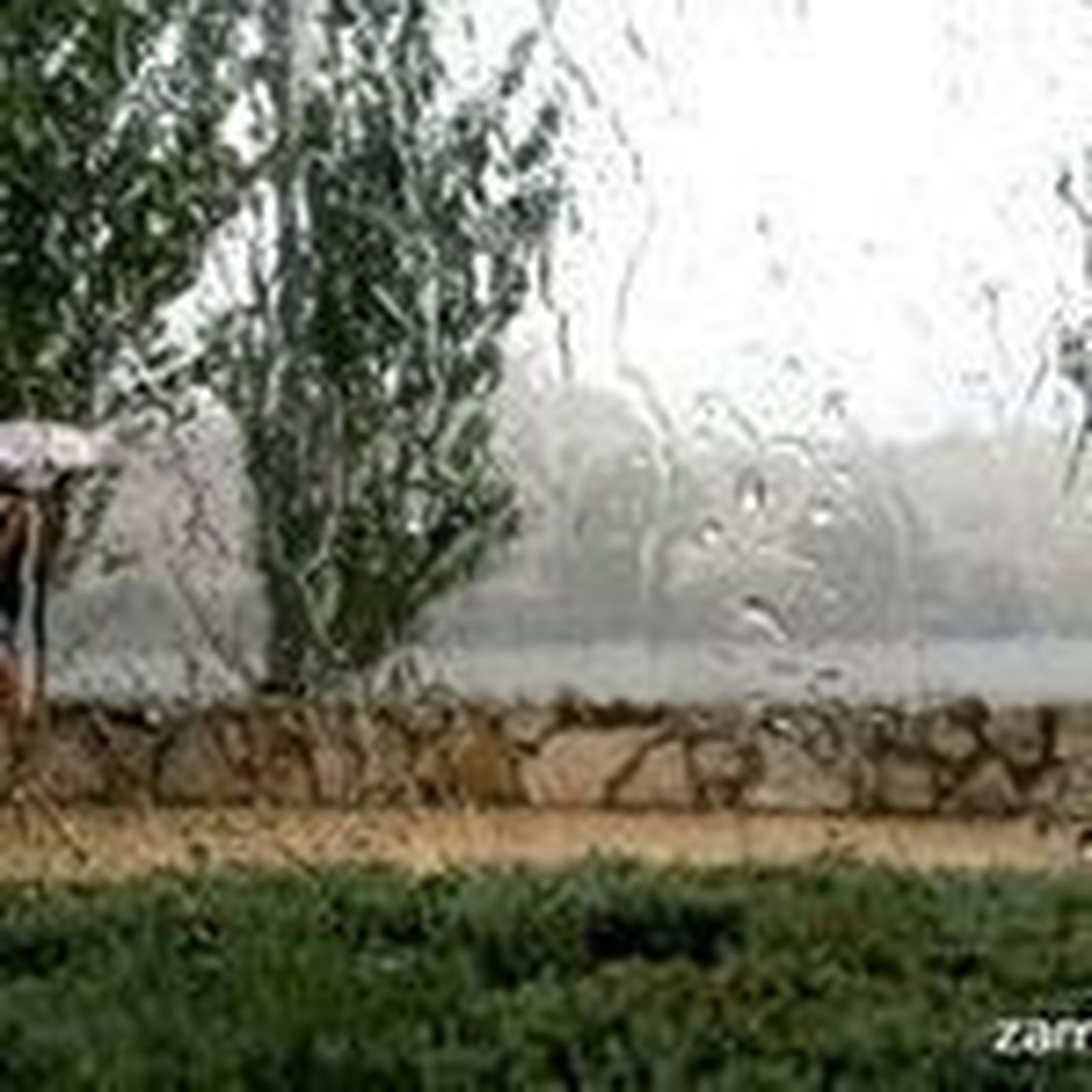 La lluvia, de nuevo protagonista