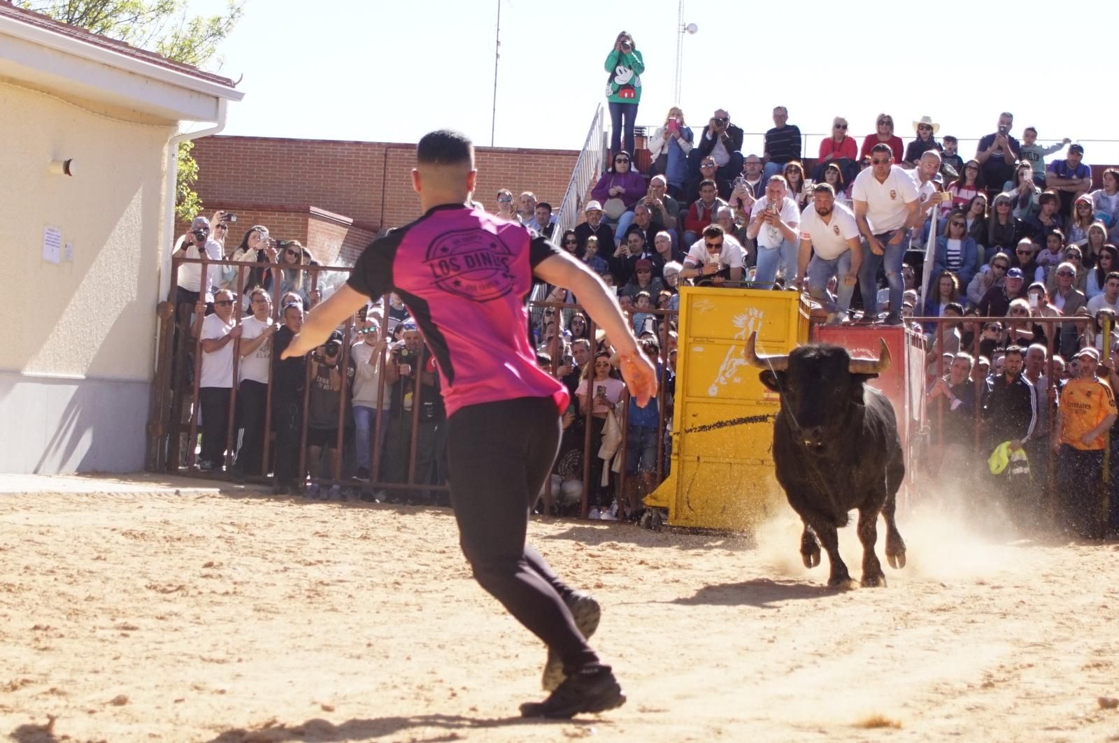 whatsapp-image-2025-04-26-at-19-02-12