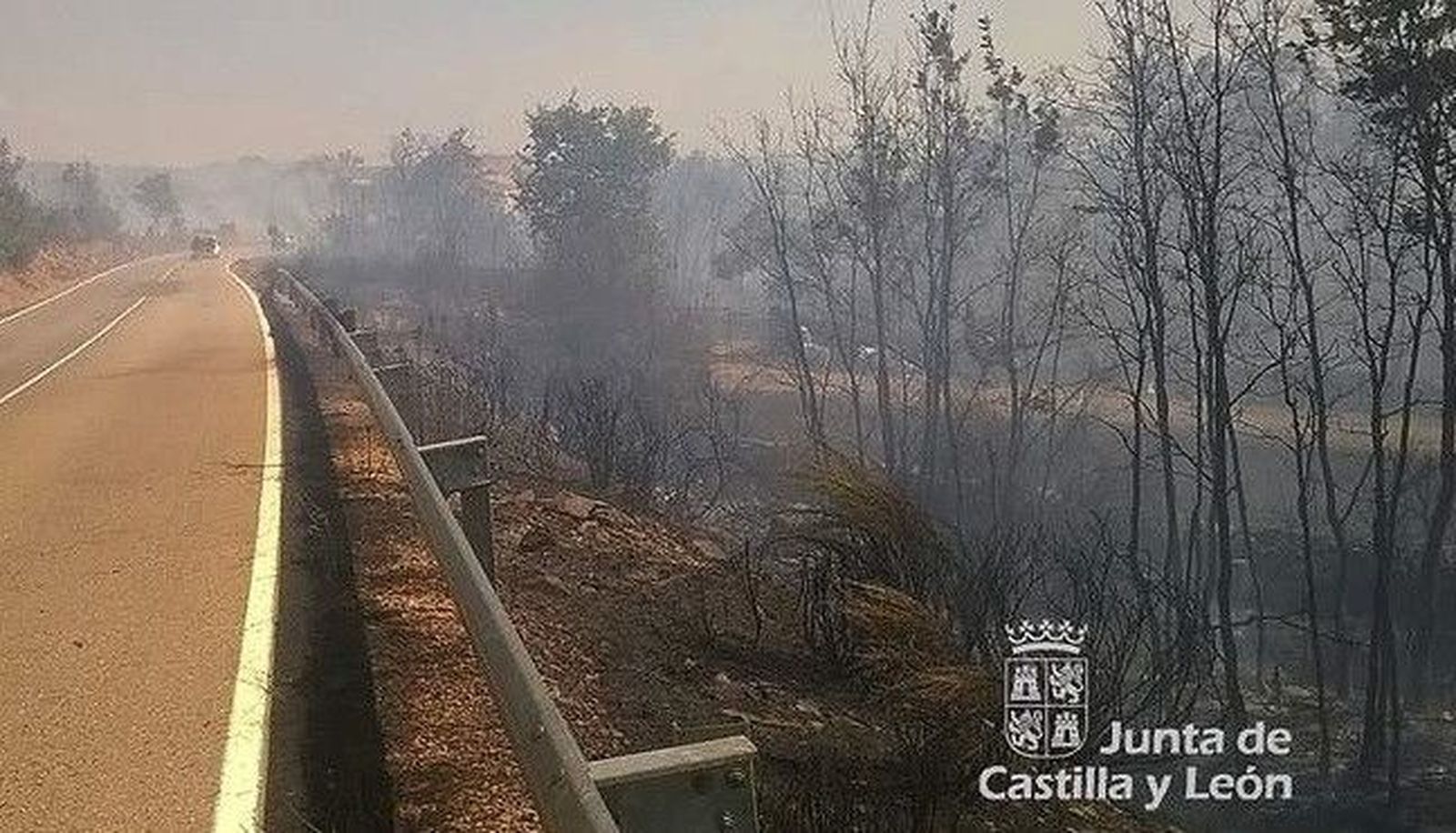 Extinguido el incendio en Escurial de la Sierra tras calcinar 45 hectáreas de arbolado