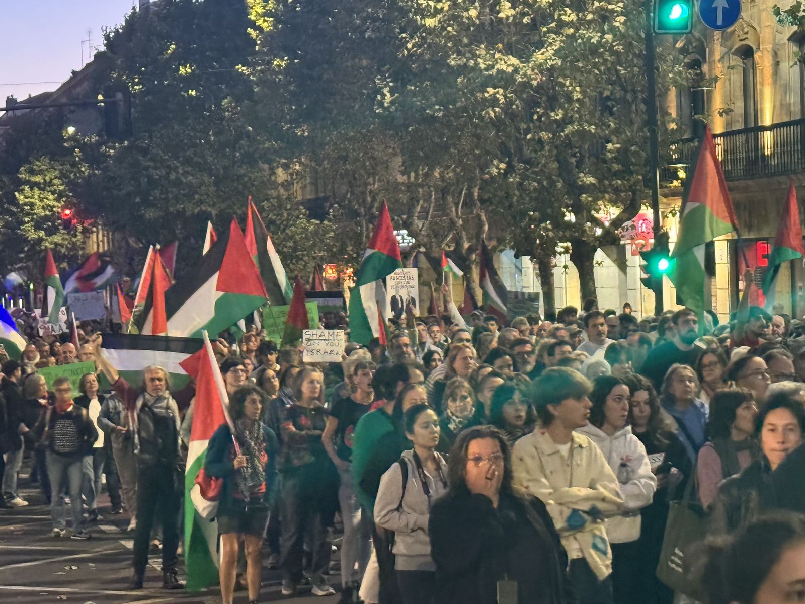 Manifestación por Palestina