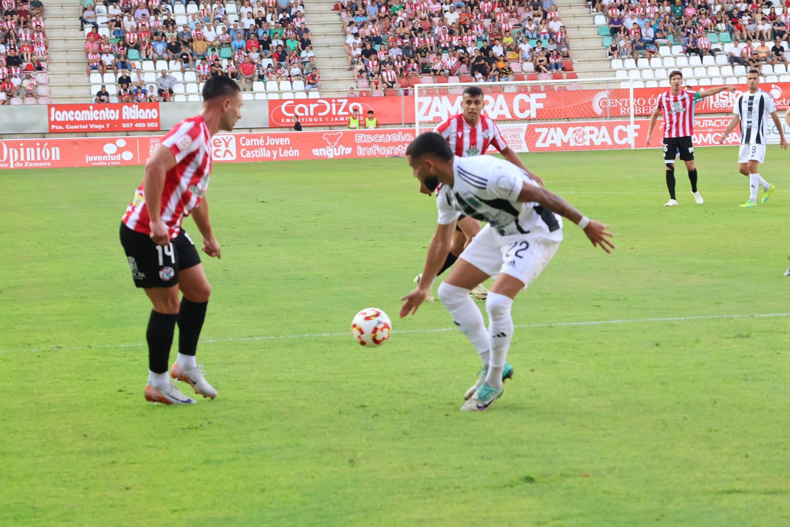 zamora-cf-sd-tarazona-15