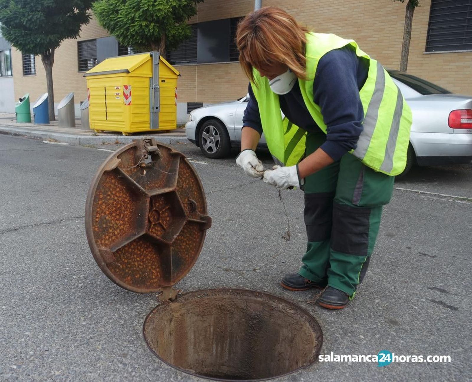 Control de plagas (10) 1110x900