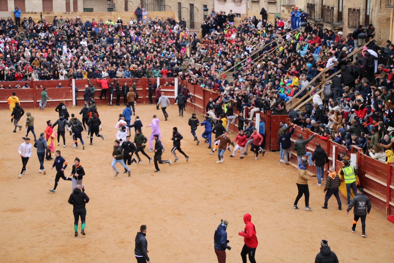 whatsapp-image-2025-03-01-at-13-18-29-1