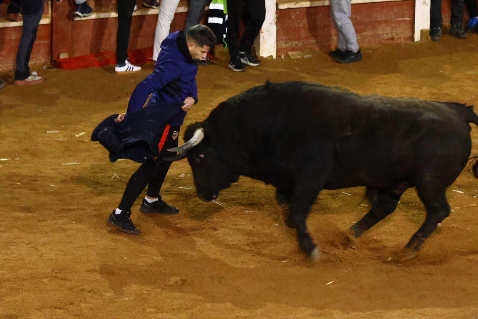 Capea nocturna de lunes en el Carnaval del Toro 2026