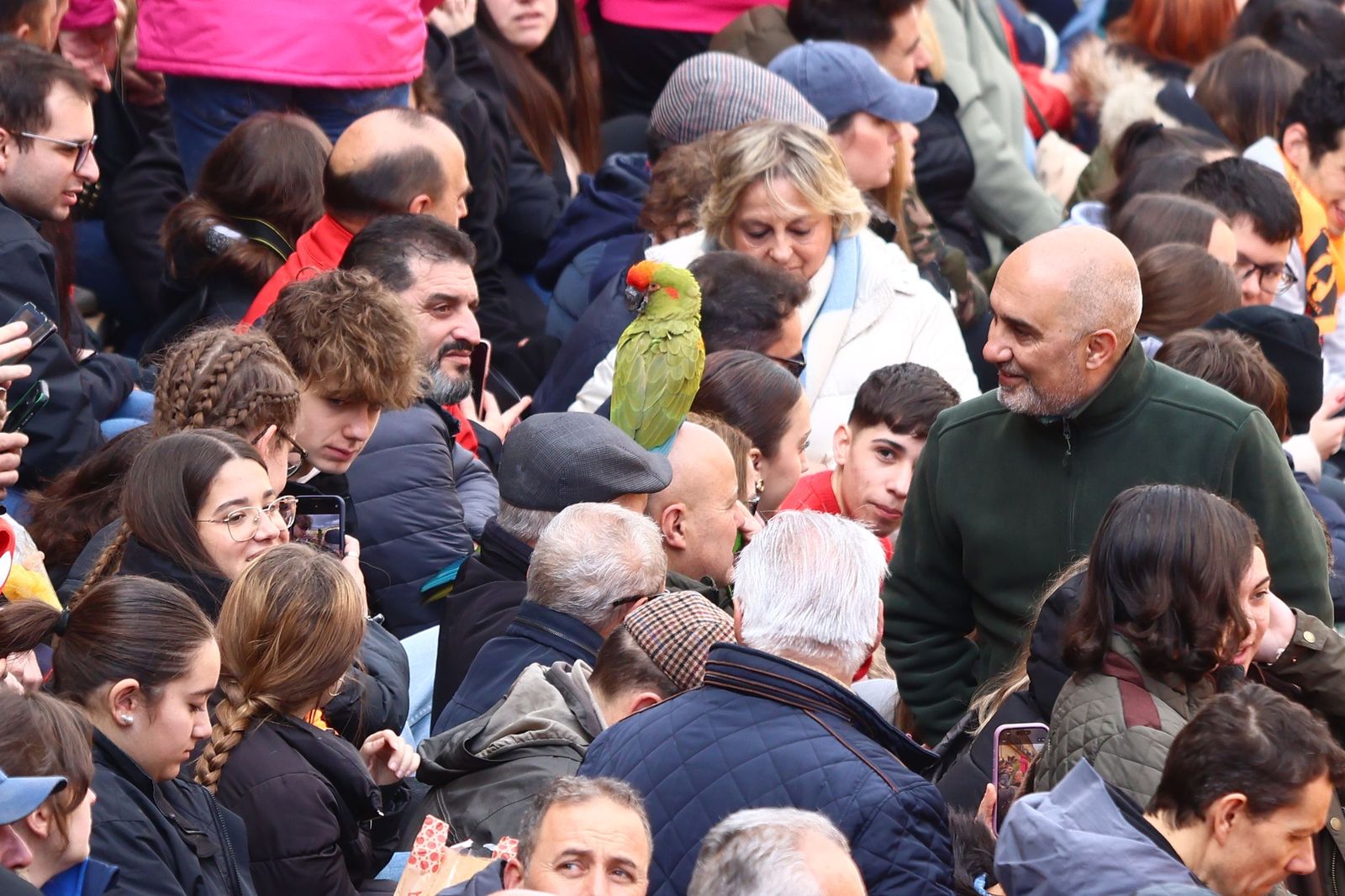 Capea de mañana en el martes del Carnaval del Toro de Ciudad Rodrigo