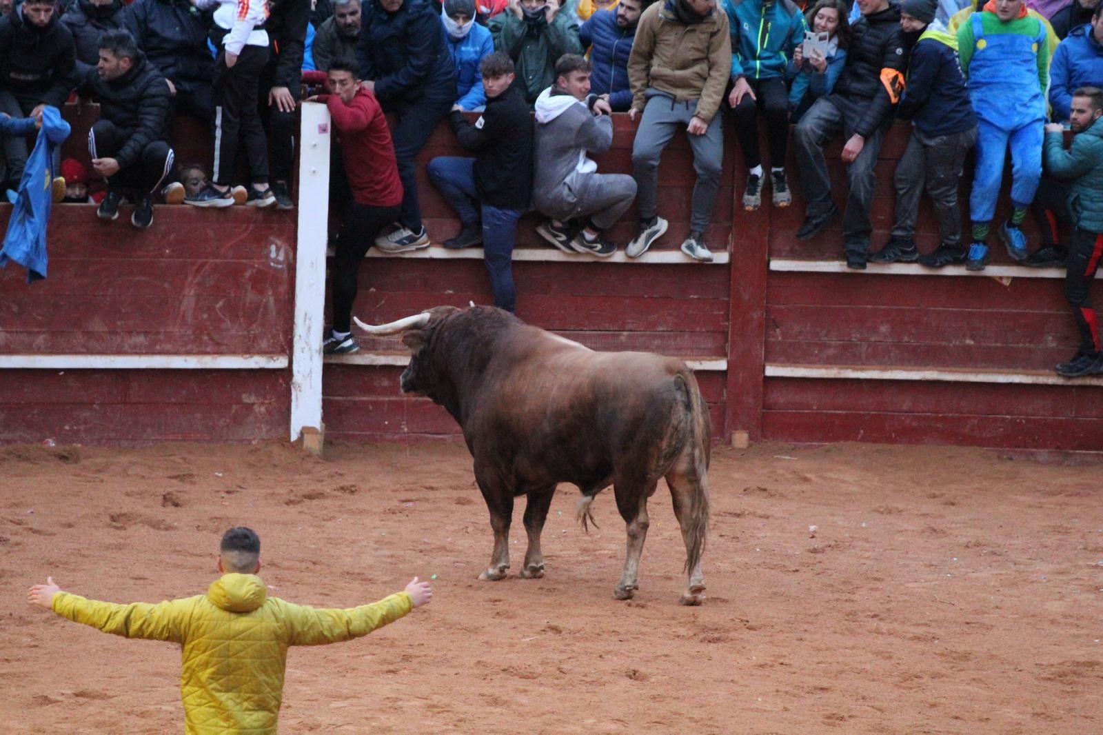 ambiente-y-capea-vespertina-sabado-de-carnaval-en-ciudad-rodrigo-2025-fotos-belen-hurtado-55