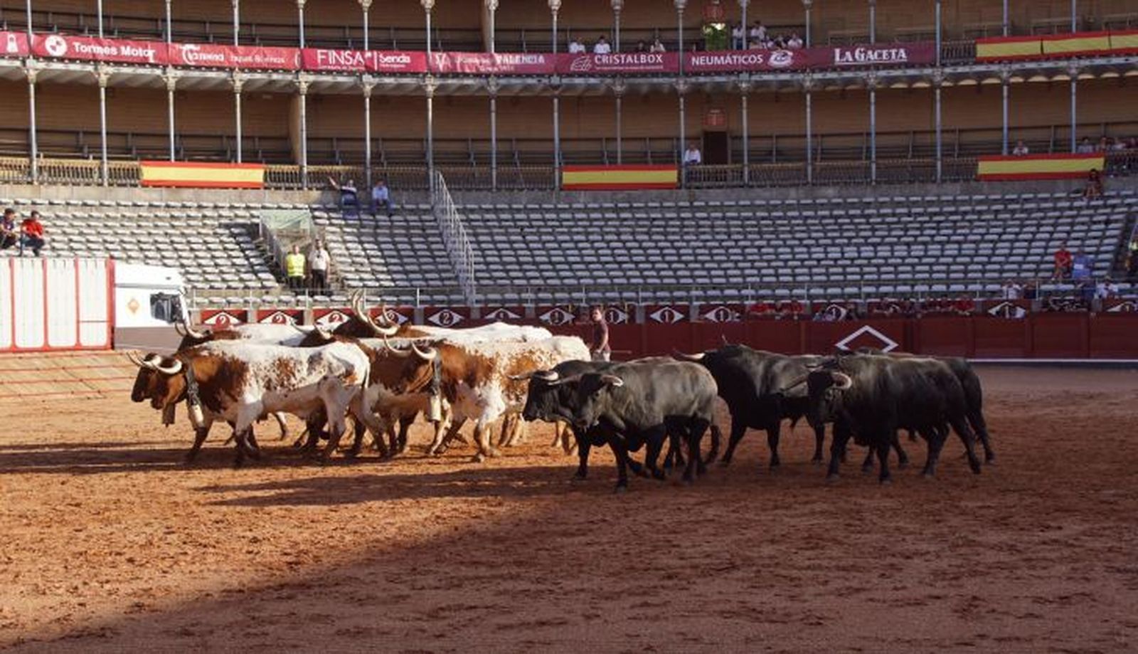 Desenjaule Feria Taurina Virgen de la Vega 2023