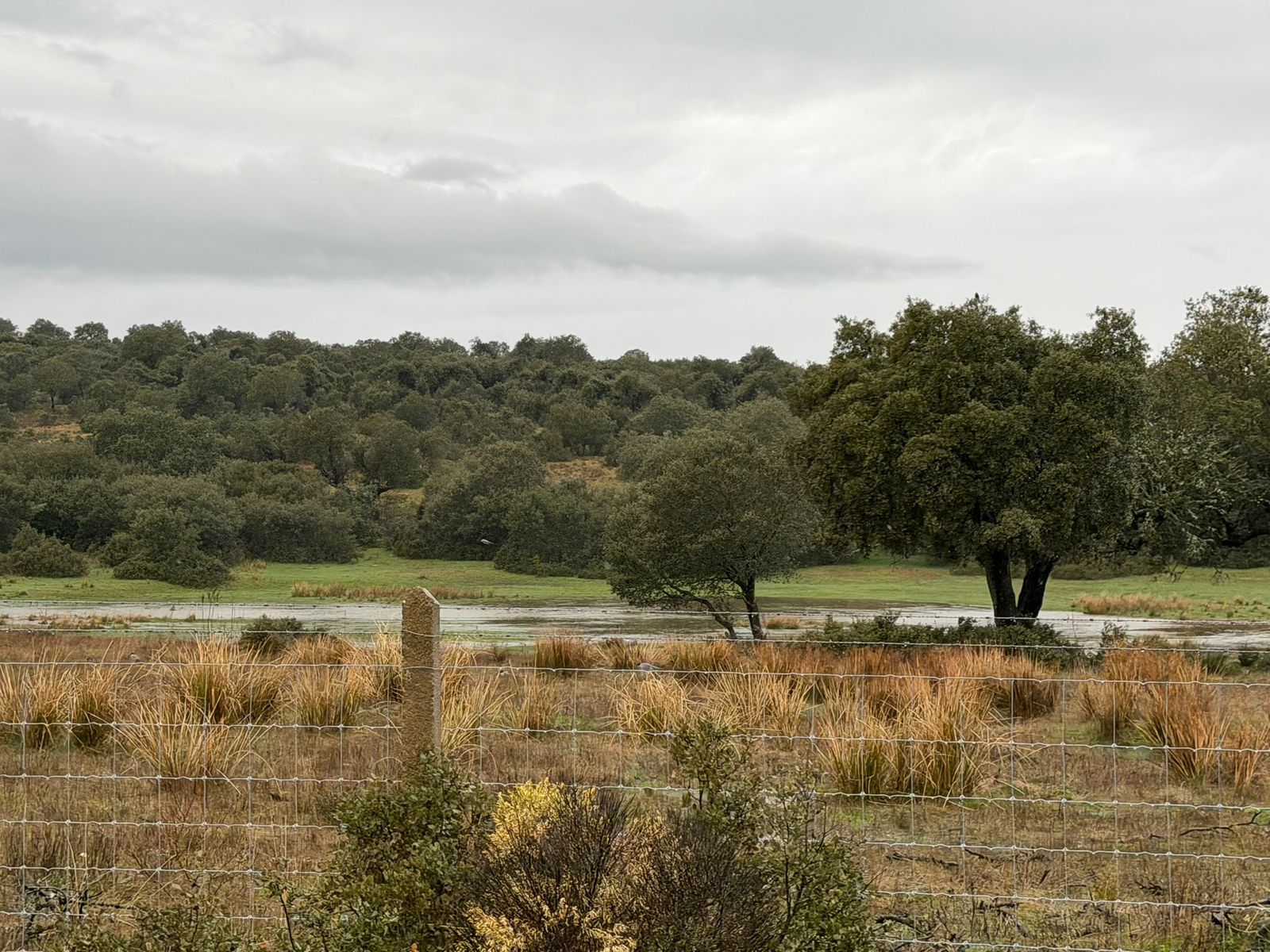 Granizo en Mozárbaz