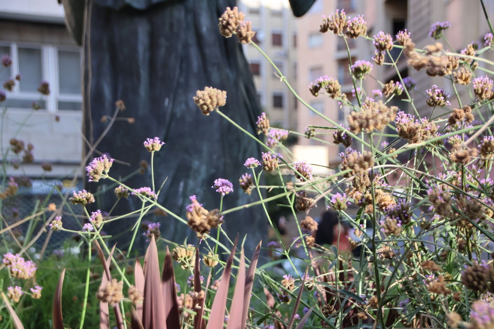 Entrevista Jaime Laso, técnico ayto para el reportaje de los polinizadores