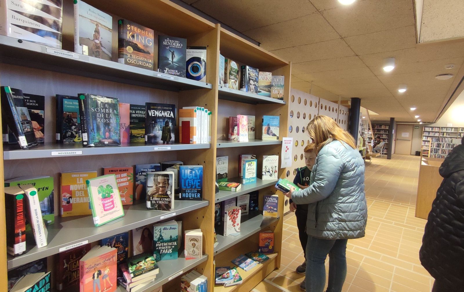 Biblioteca de Carbajosa (5)