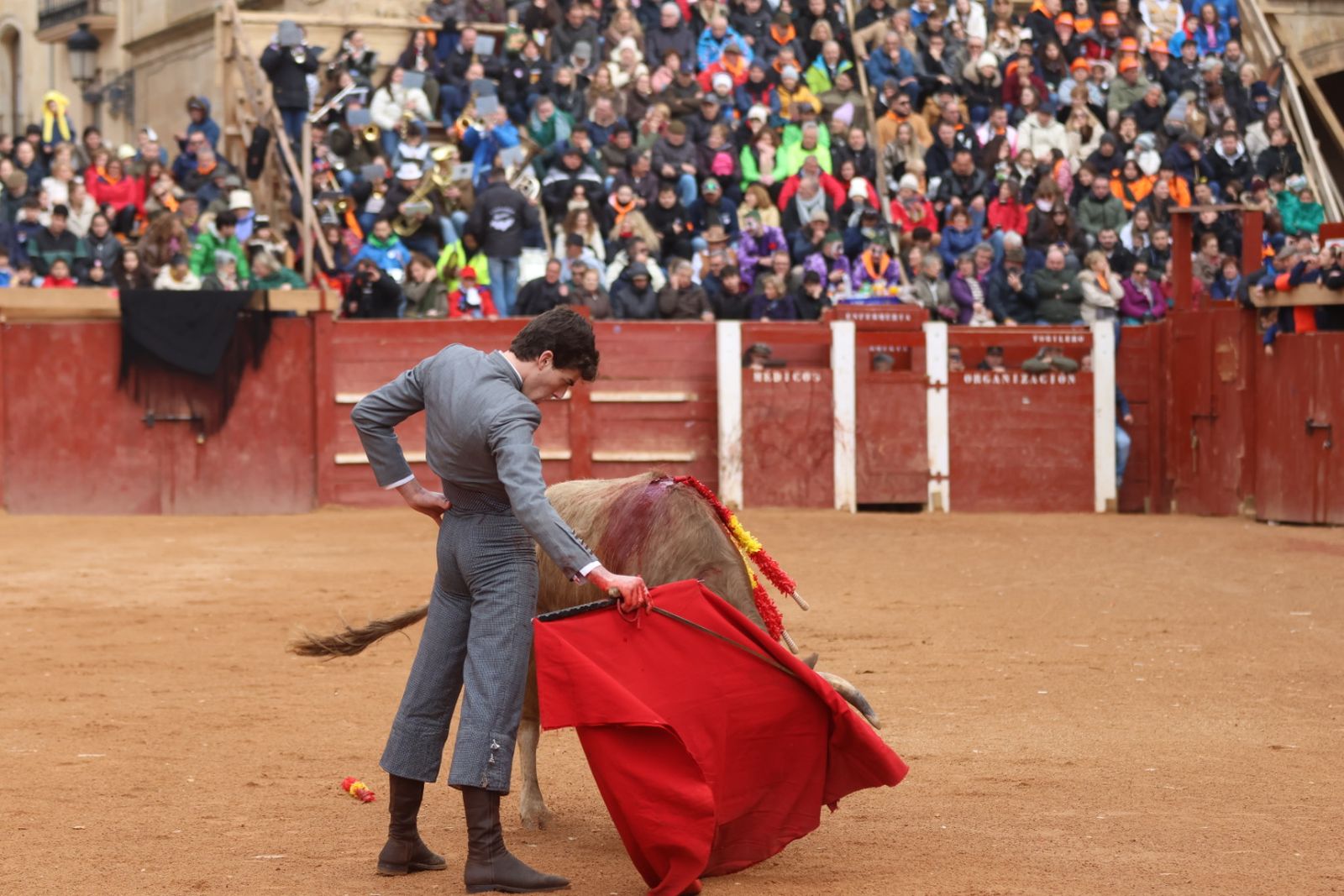 Novillada sin picadores del bolsín taurino y rejones en Ciudad Rodrigo