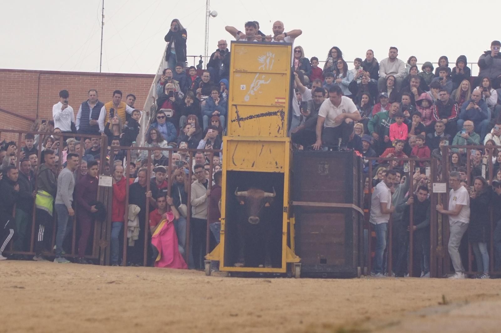 Villoria, toro del Voto