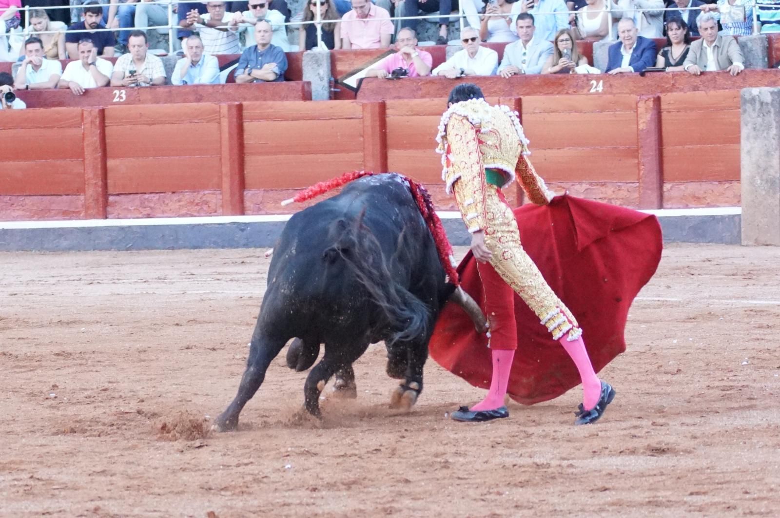 Emilio de Justo, Juan Ortega y Roca Rey inauguran el cartel de figuras en la feria de Salamanca: la corrida de Garcigrande en imágenes